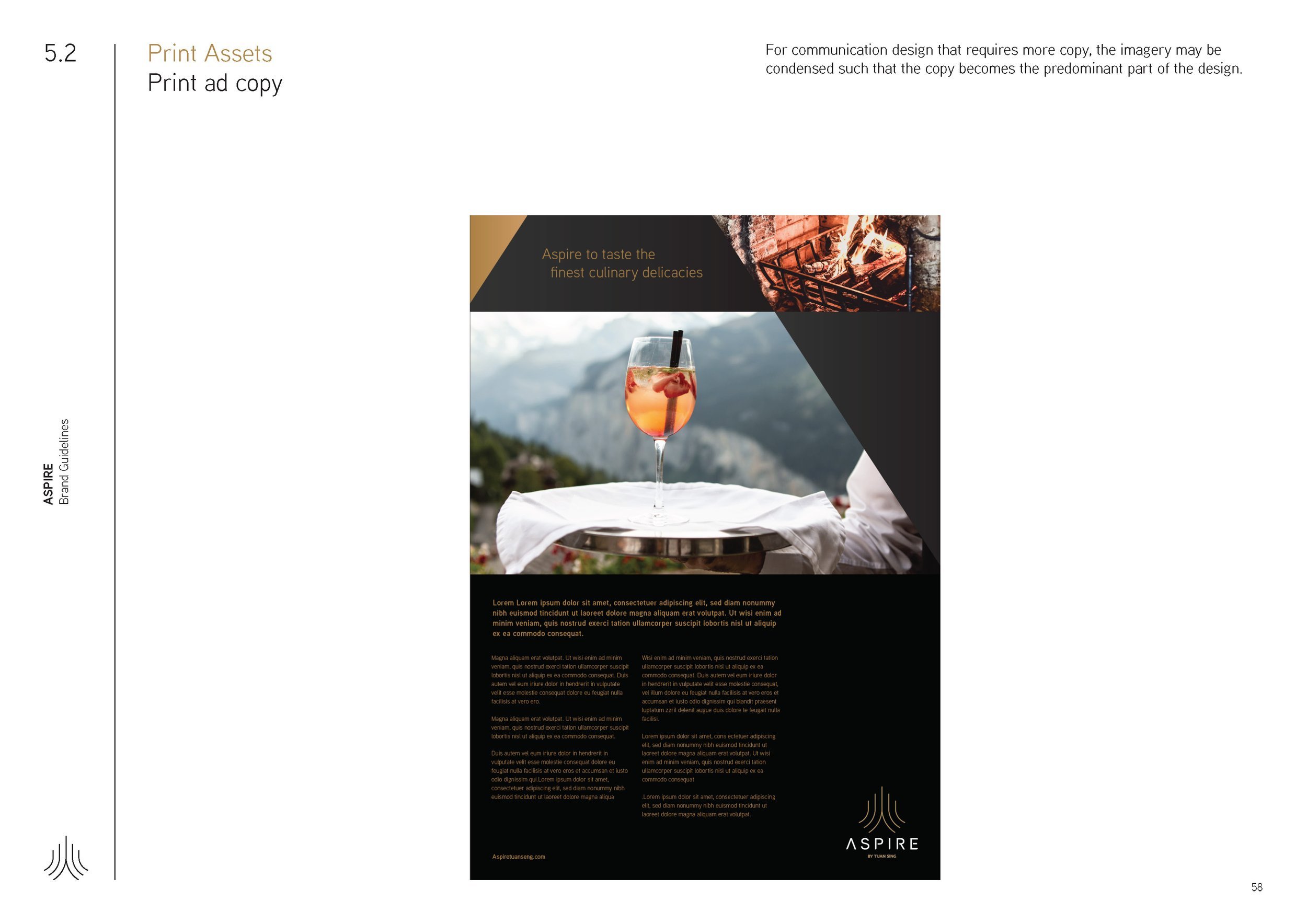Aspire_BrandGuideline_Final_Page_58.jpg