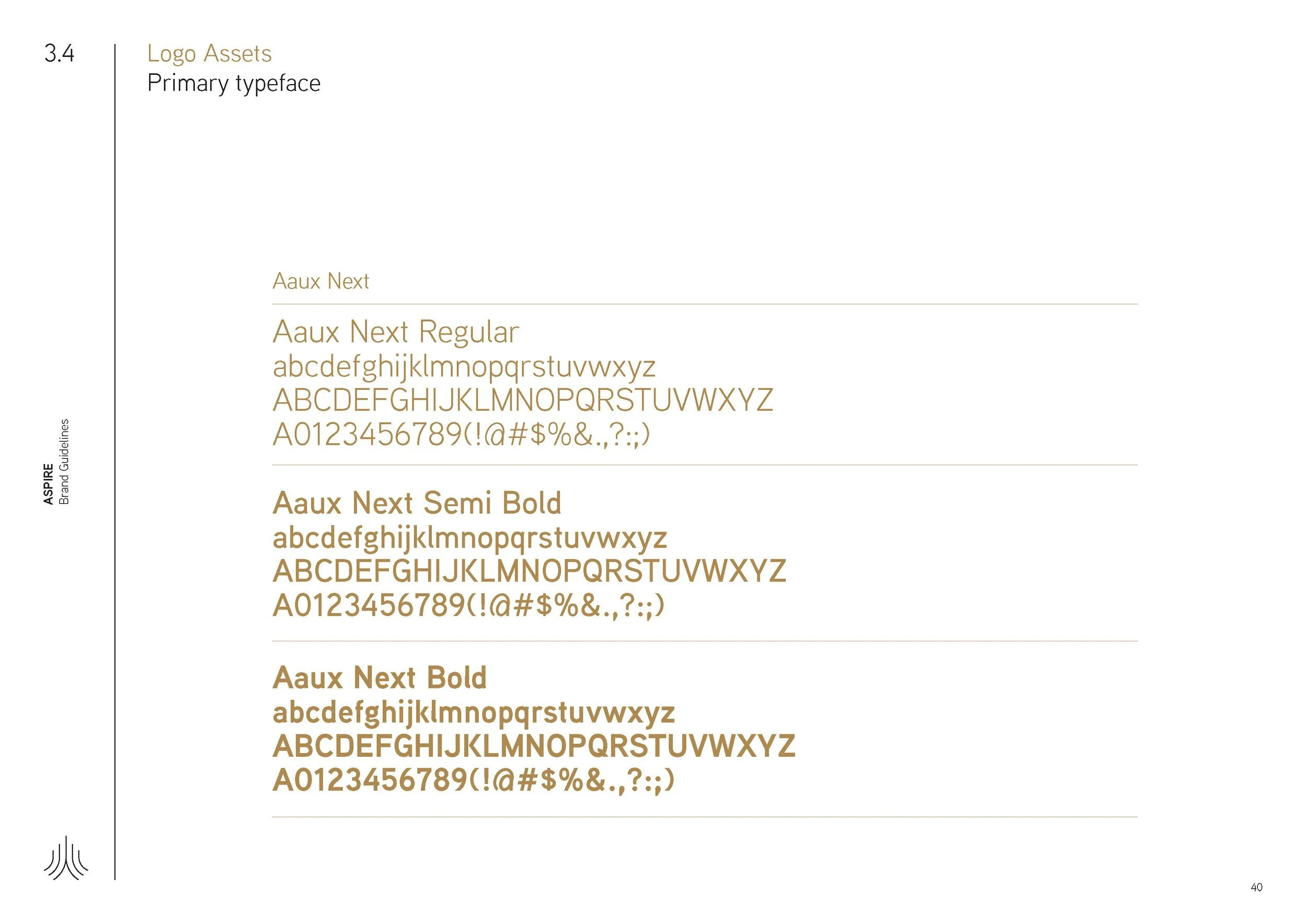 Aspire_BrandGuideline_Final_Page_40.jpg