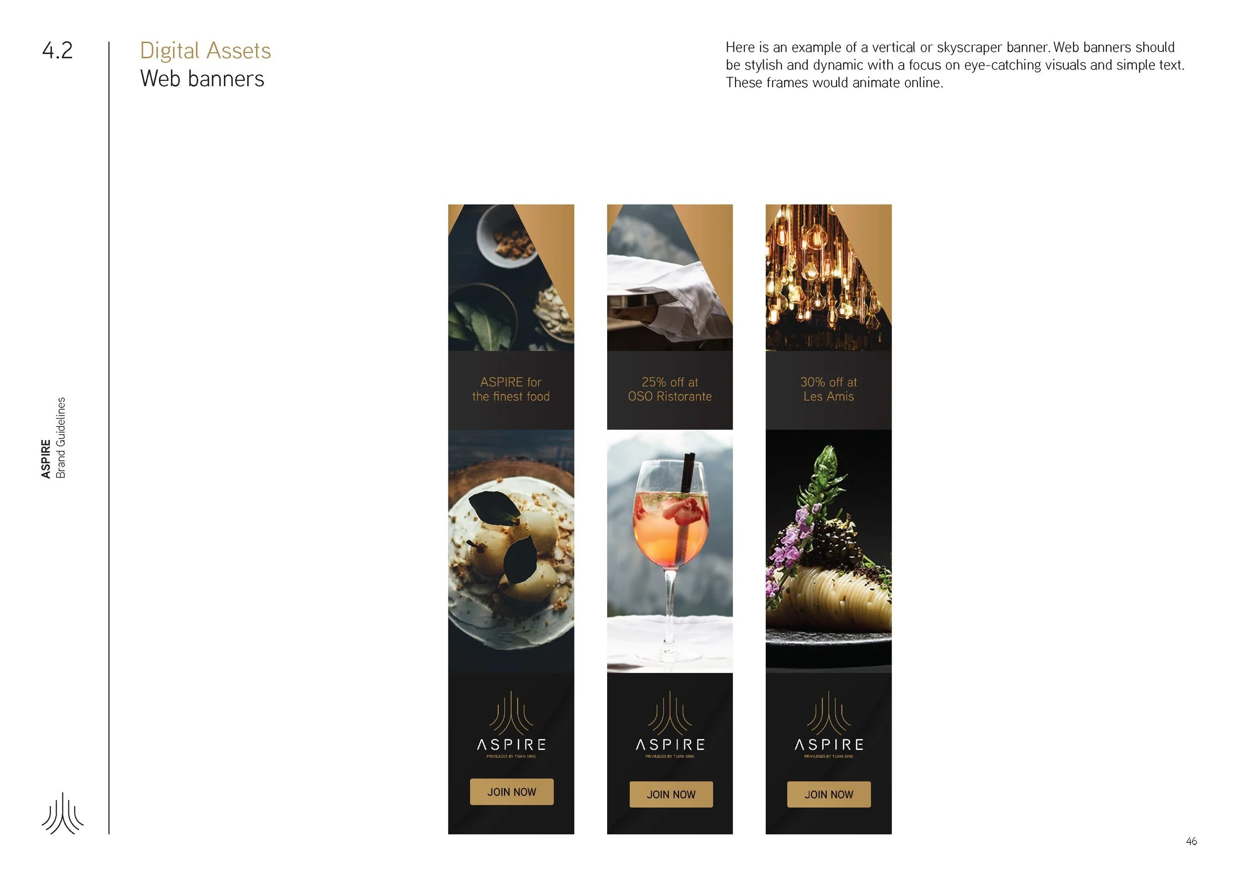 Aspire_BrandGuideline_Final_Page_46.jpg