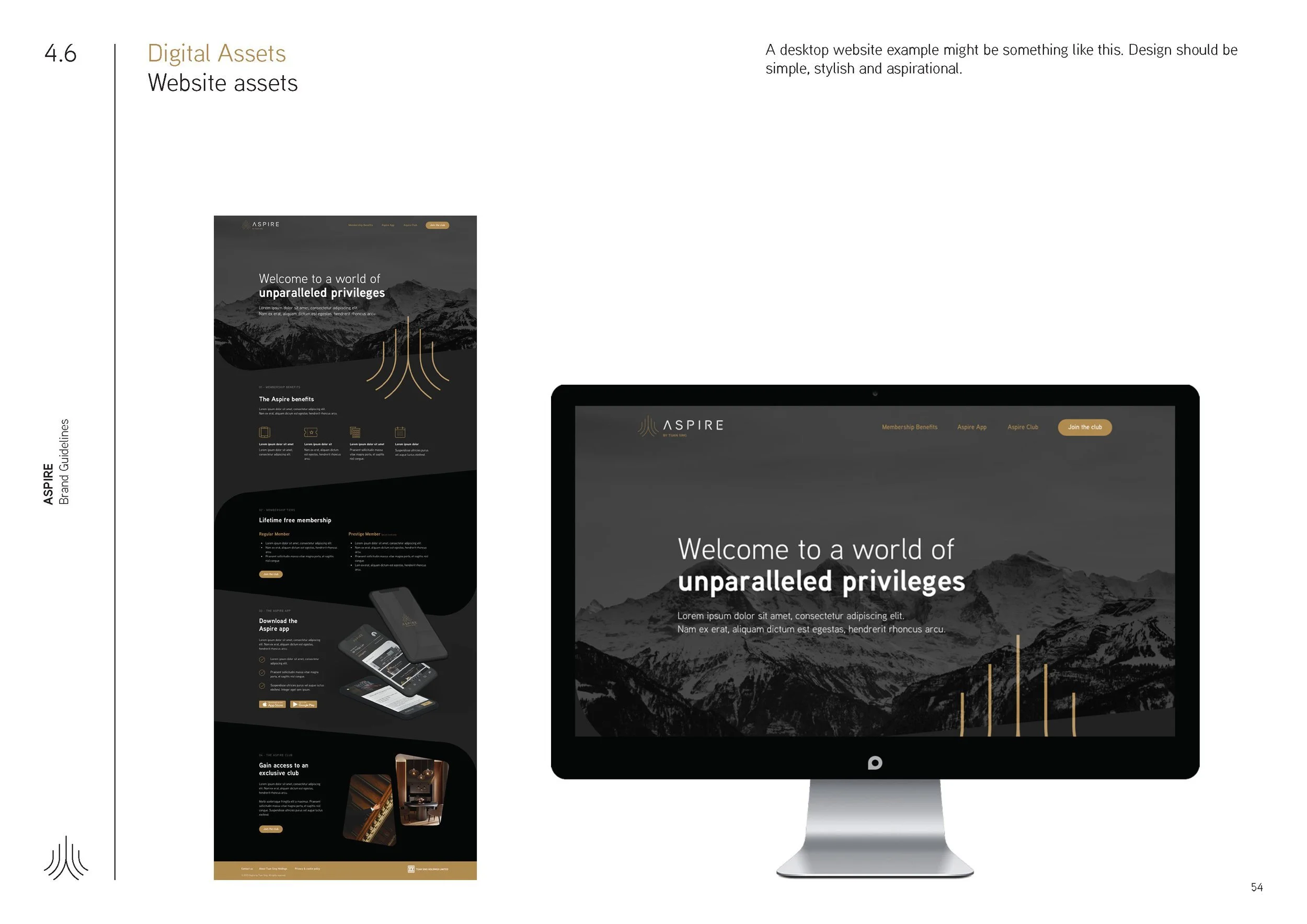 Aspire_BrandGuideline_Final_Page_54.jpg