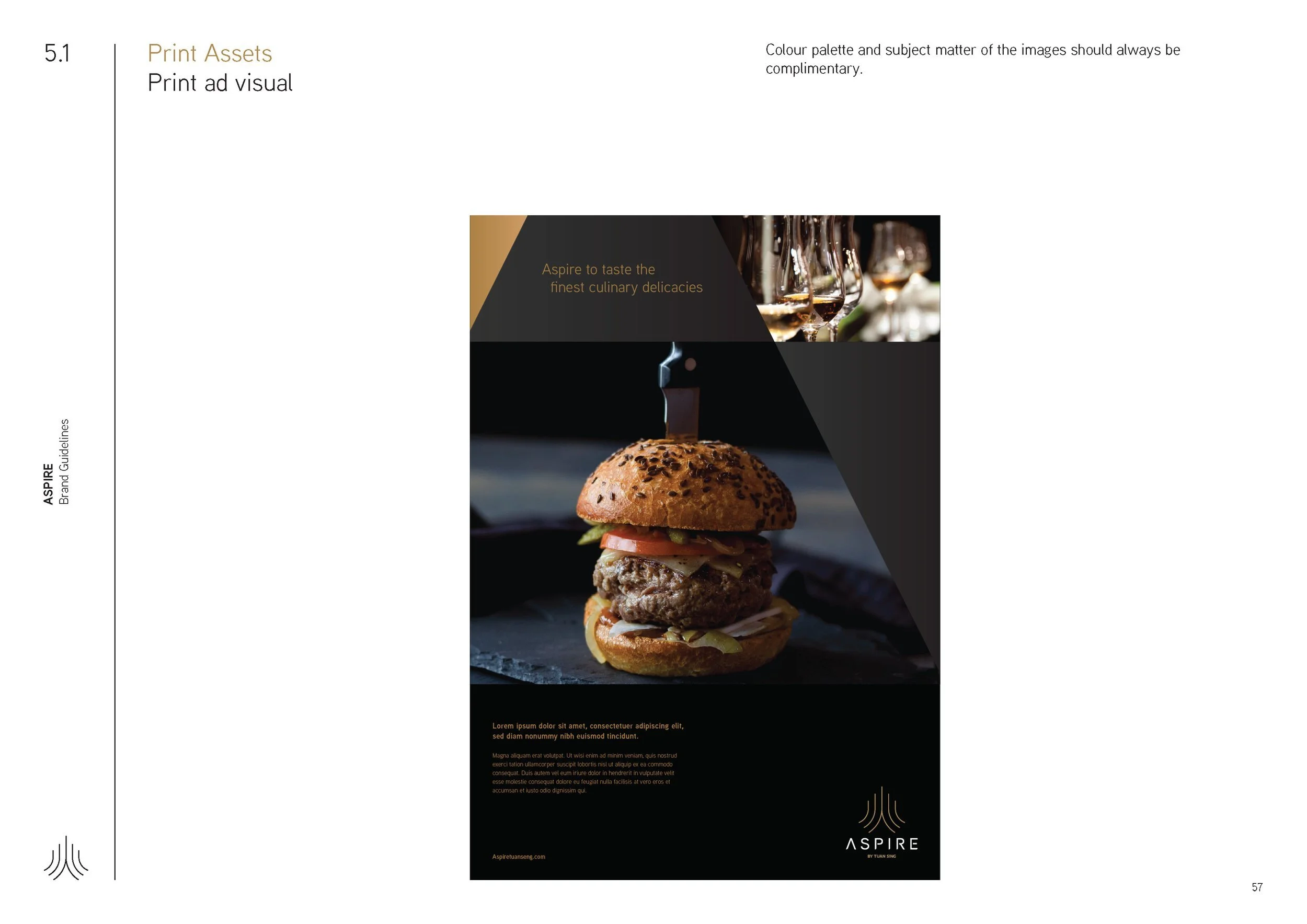 Aspire_BrandGuideline_Final_Page_57.jpg