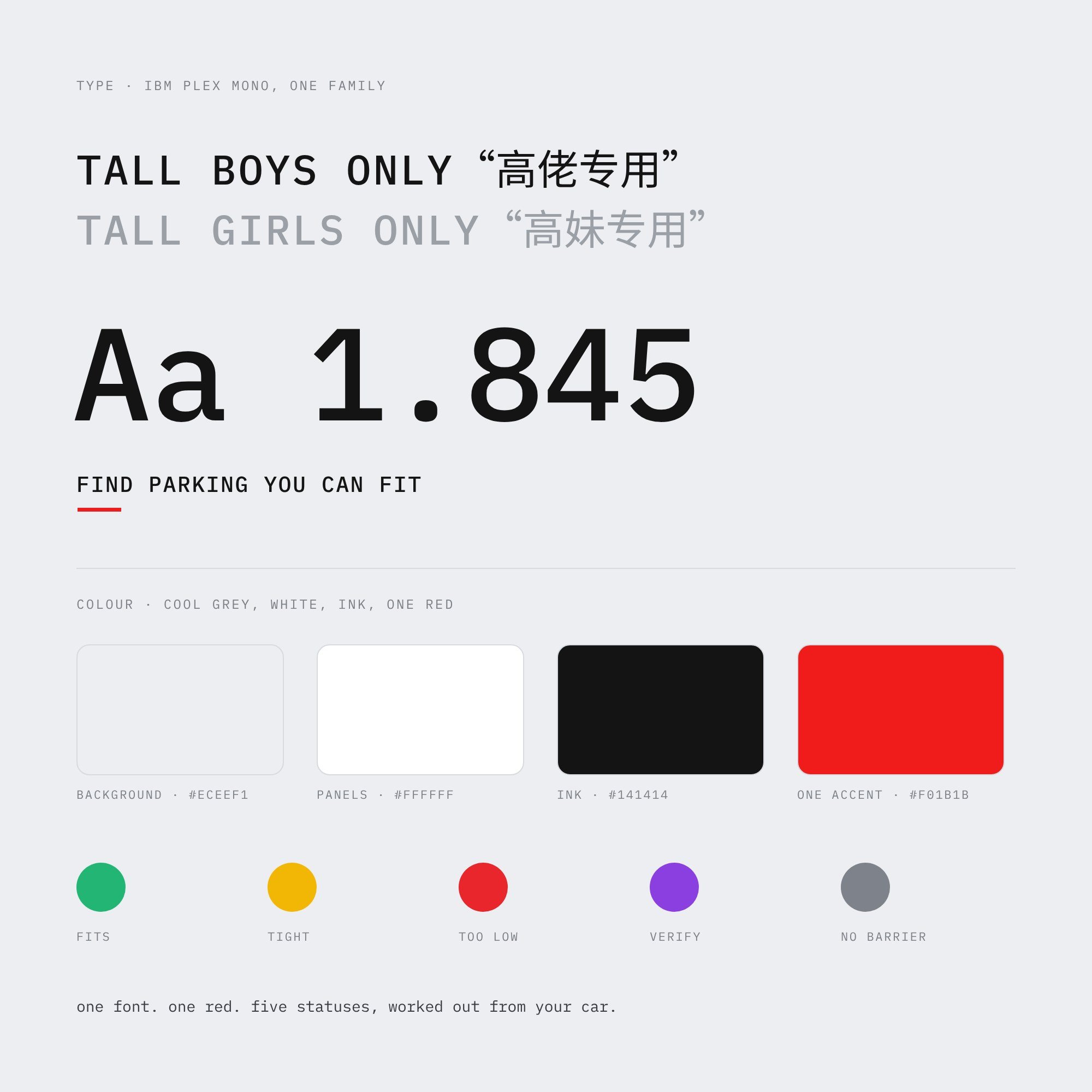 tallboys-04-type-colour.jpg