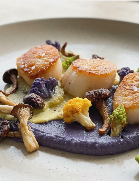 Seared Scallops w/ Cauliflower Purée