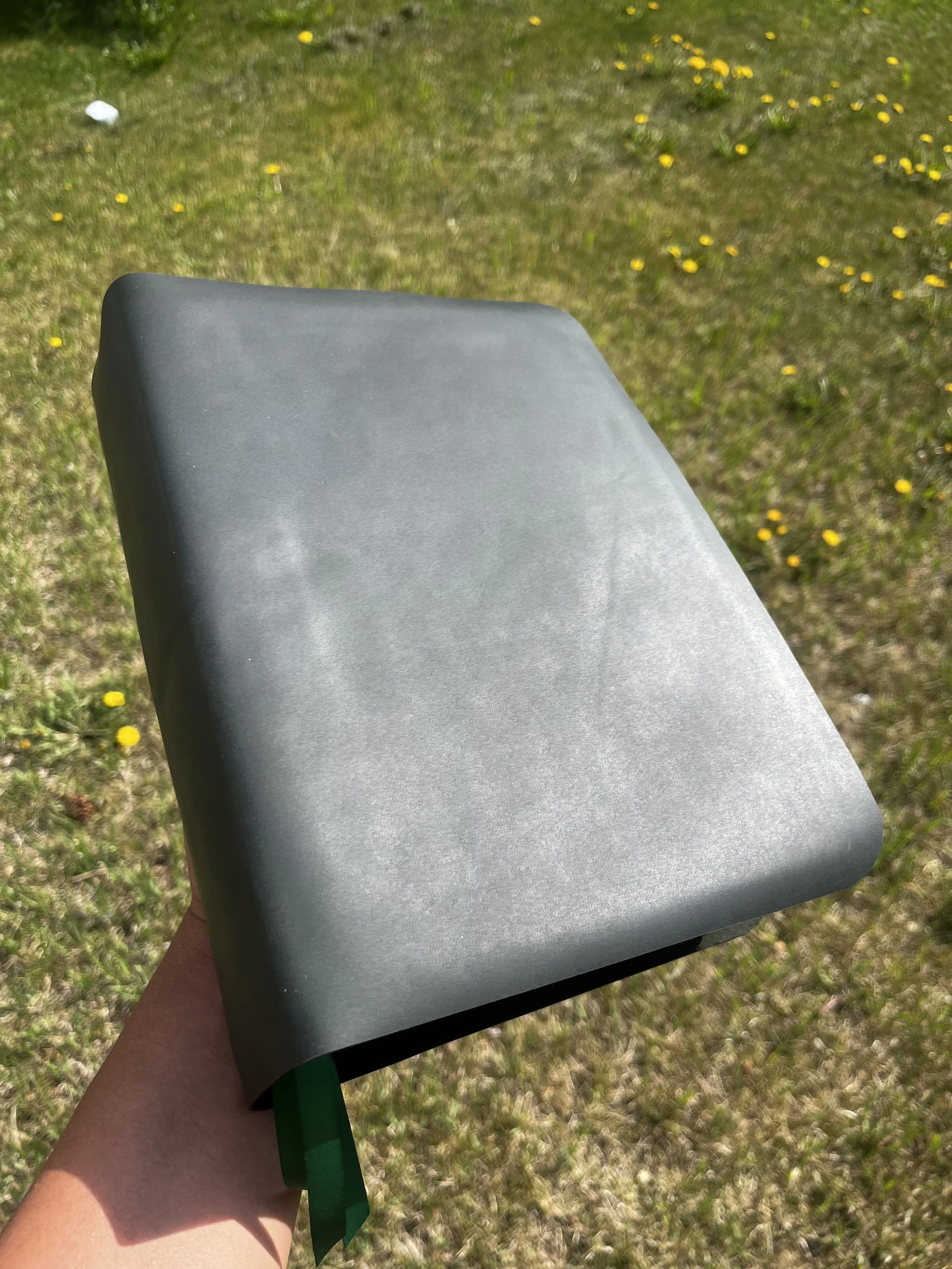IMG_5156.jpg