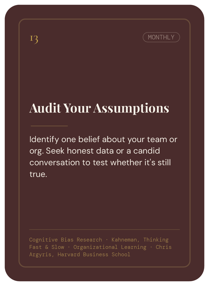 A dark brown digital planner or journal cover titled 'Audit Your Assumptions' with a subtitle encouraging honest conversation and testing beliefs. It mentions a reference to cognitive bias research and Harvard Business School.