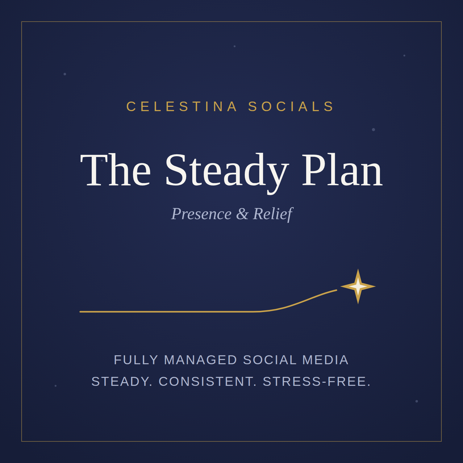 steady-plan (1).png