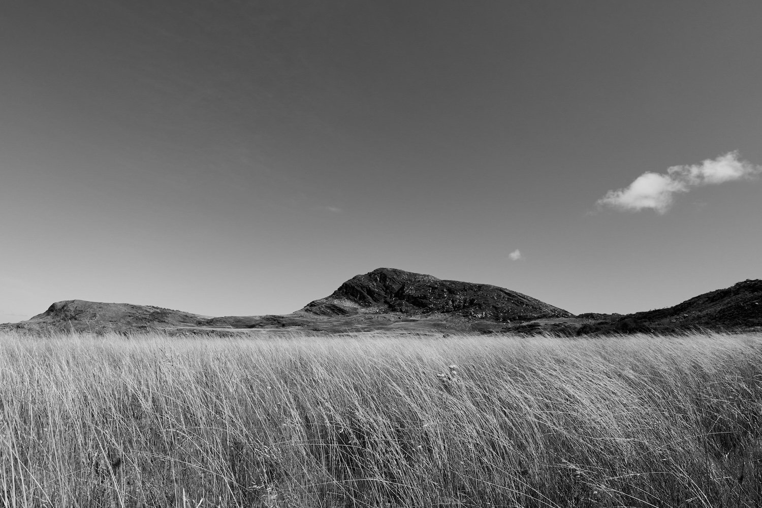 CS_6576
