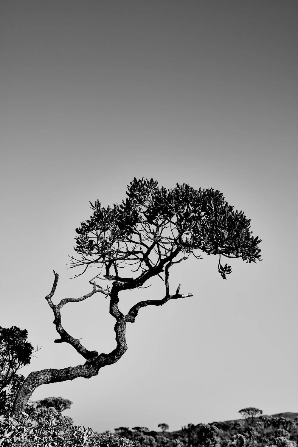 PA_2143