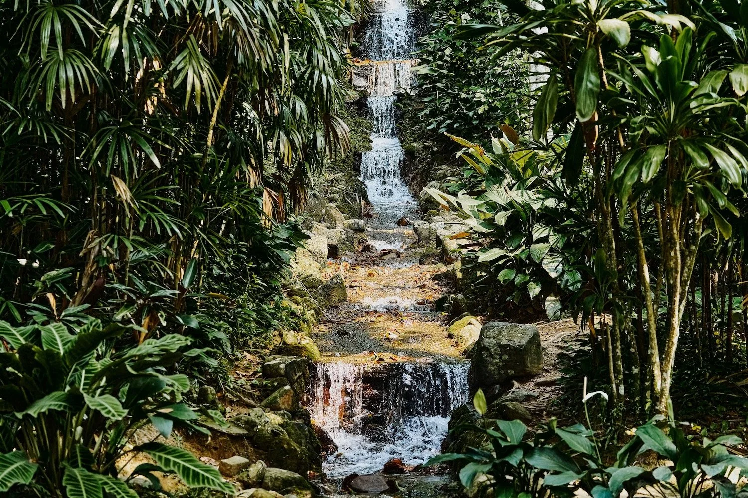 EN_9375
