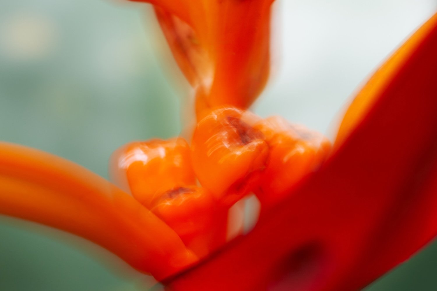 EN_8706