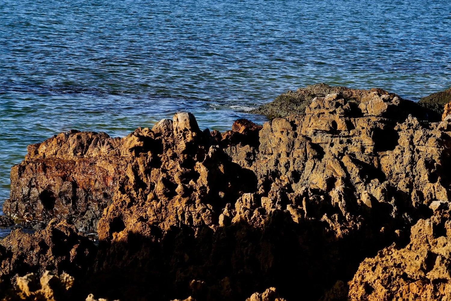 BR_6146