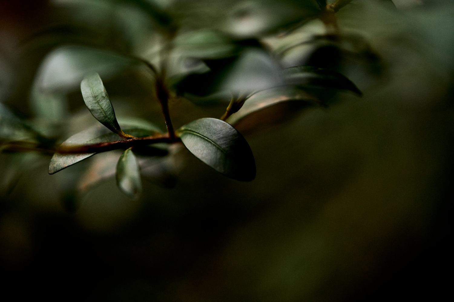 IP_8794