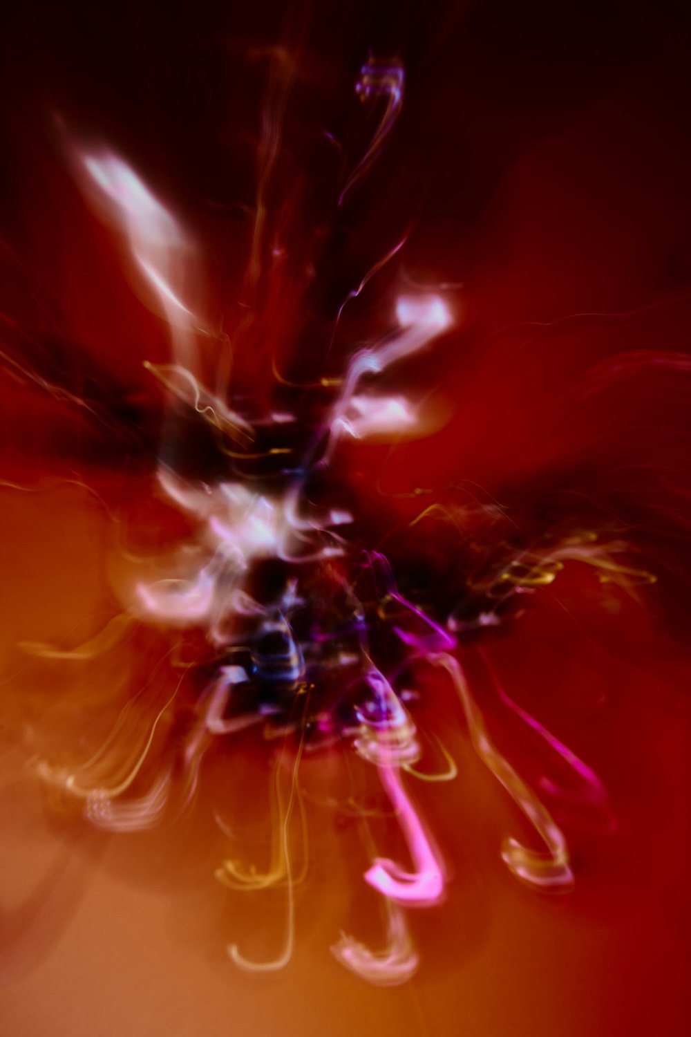 SN_05919