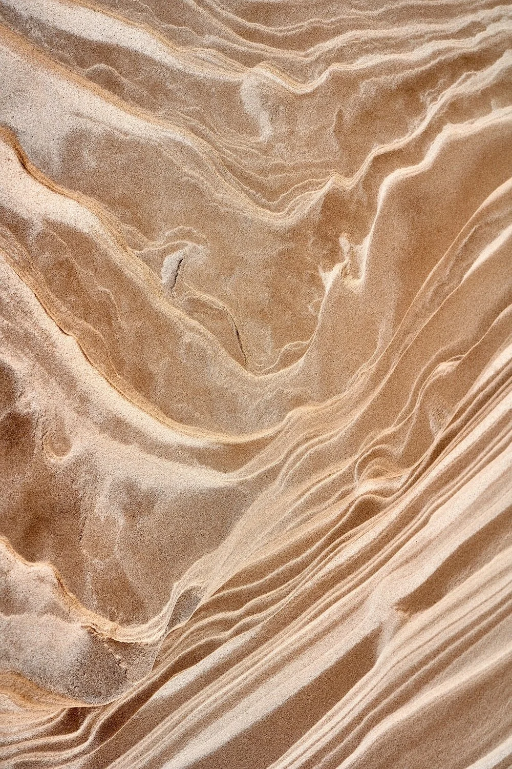 TX_3092