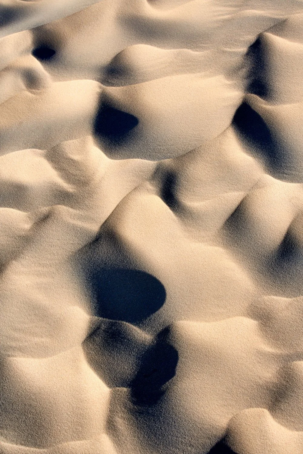 LM_6659