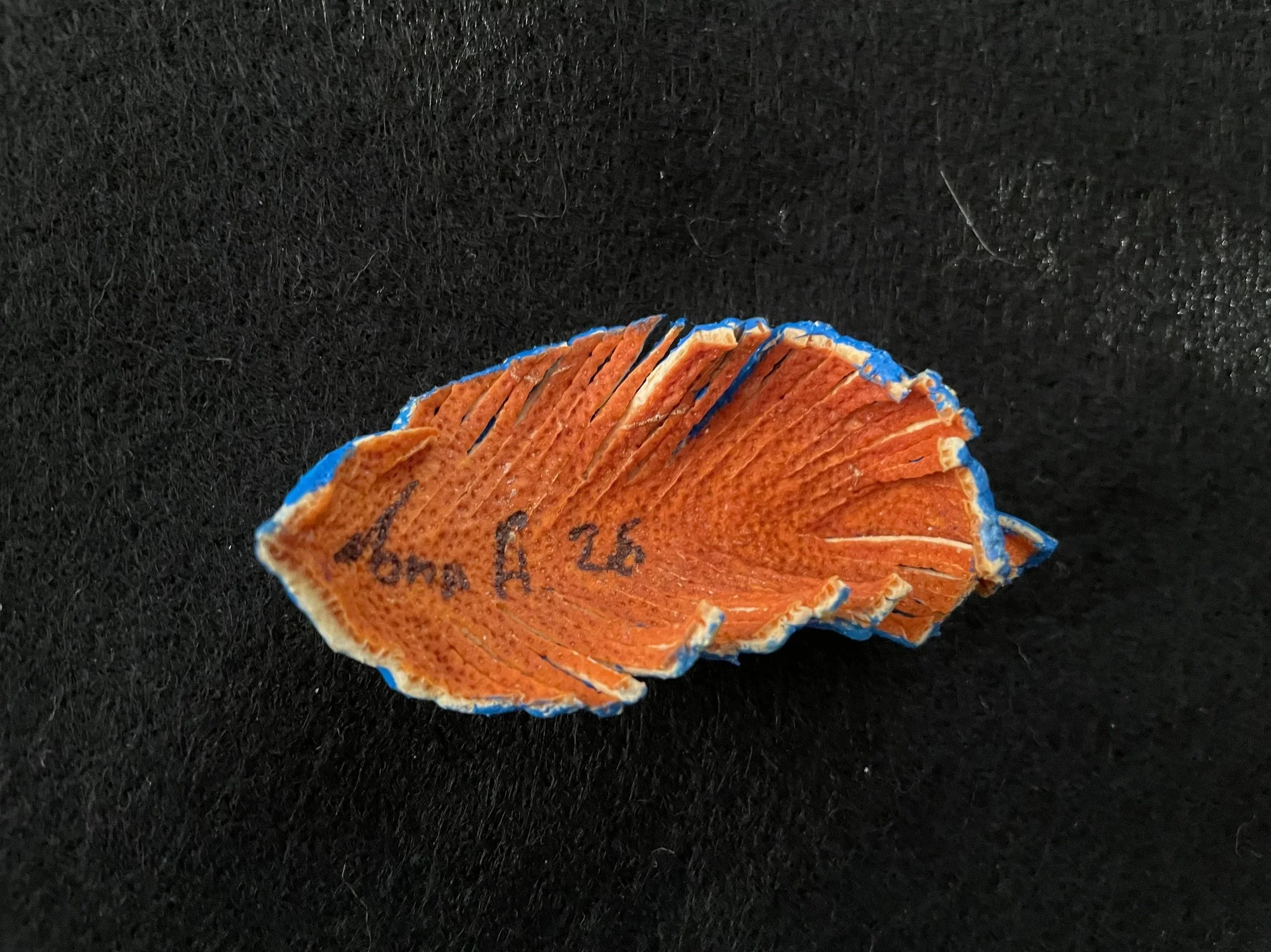 Sliced citrus rind arranged in a fan shape on a black surface.