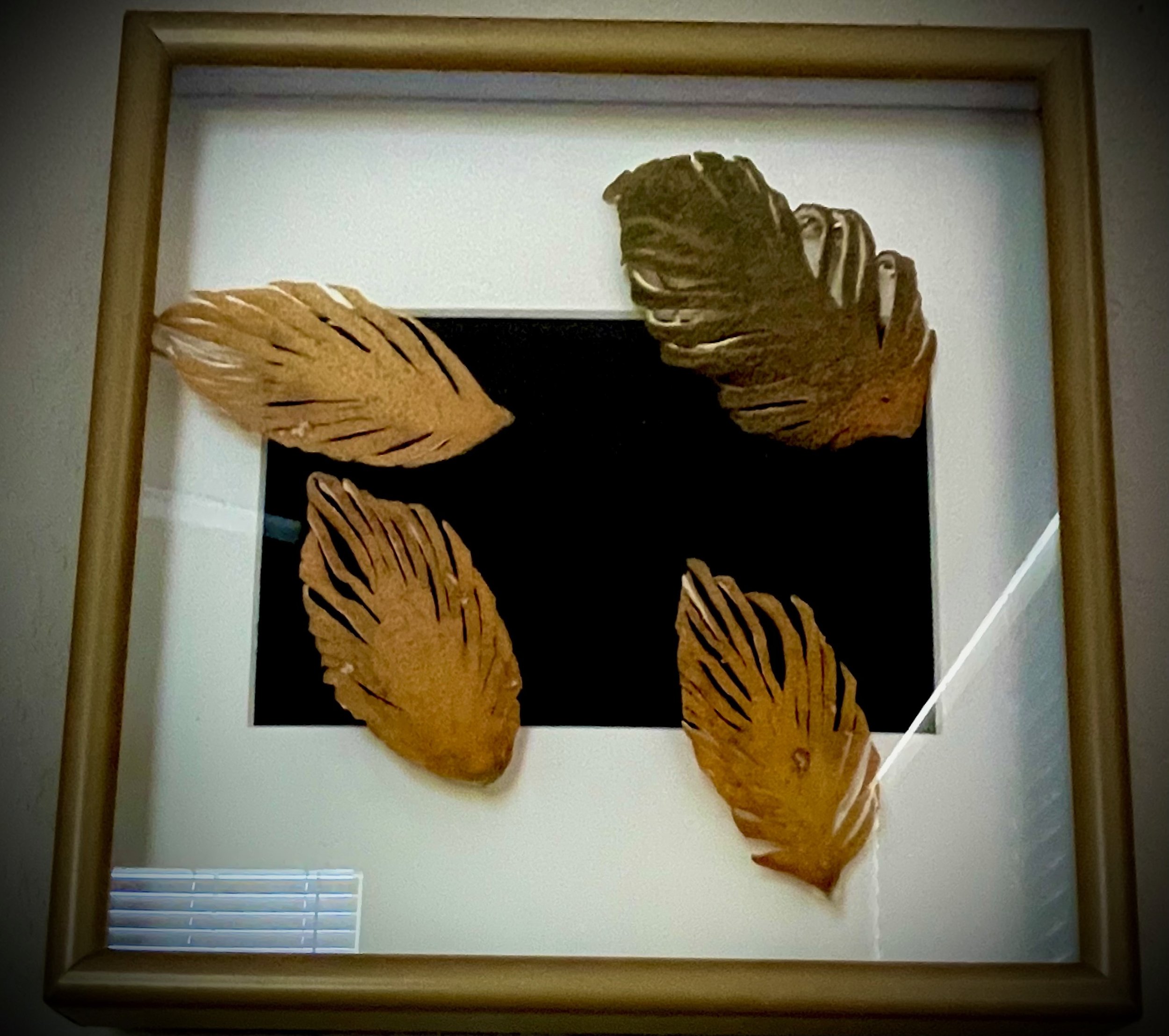 A framed painting citrus rinds, framed in a decorative black frame.