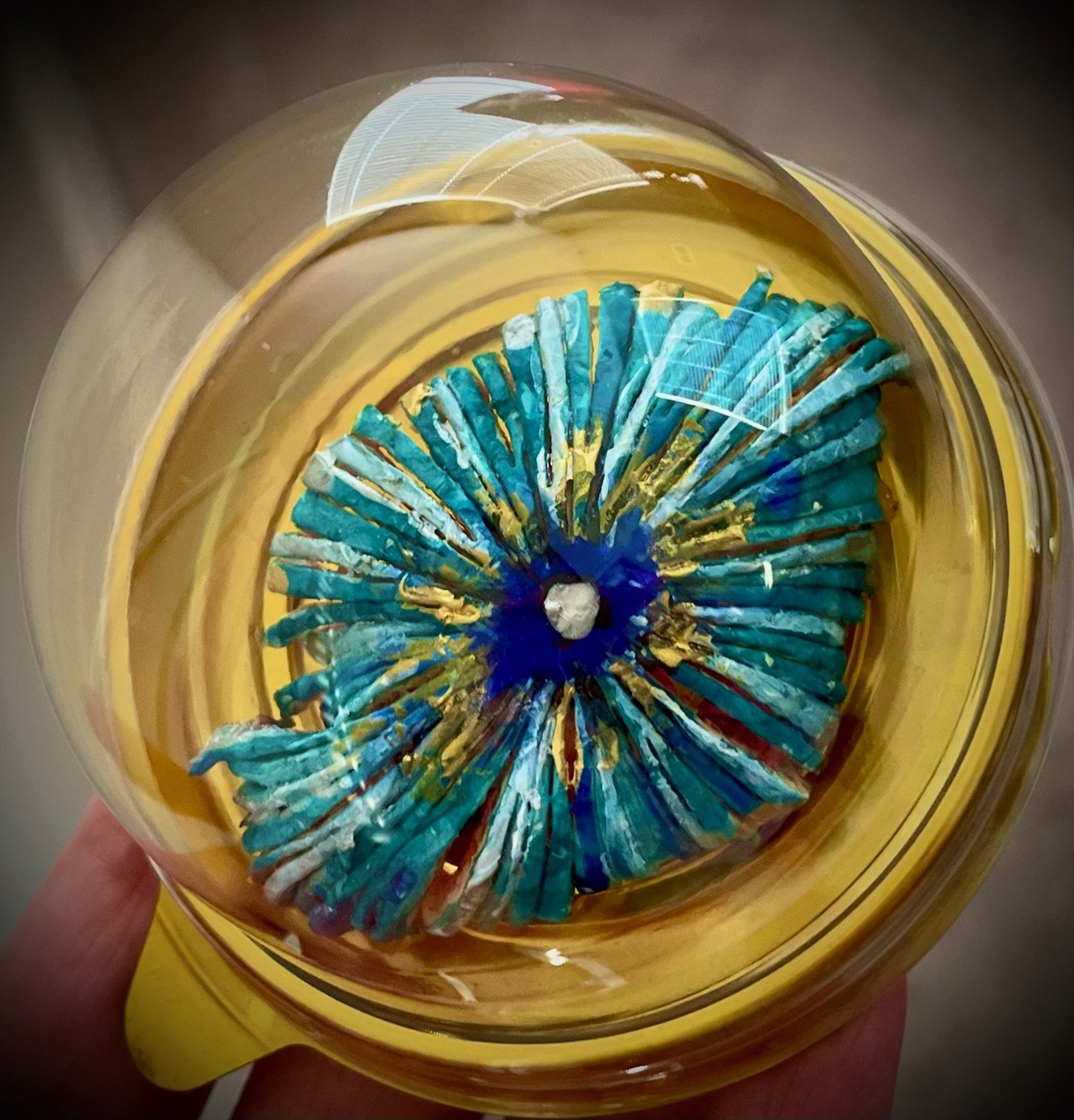 A close-up view of a decorative round citrus rind with radiating blue and gold streaks, contained within a clear yellowish bowl or container.