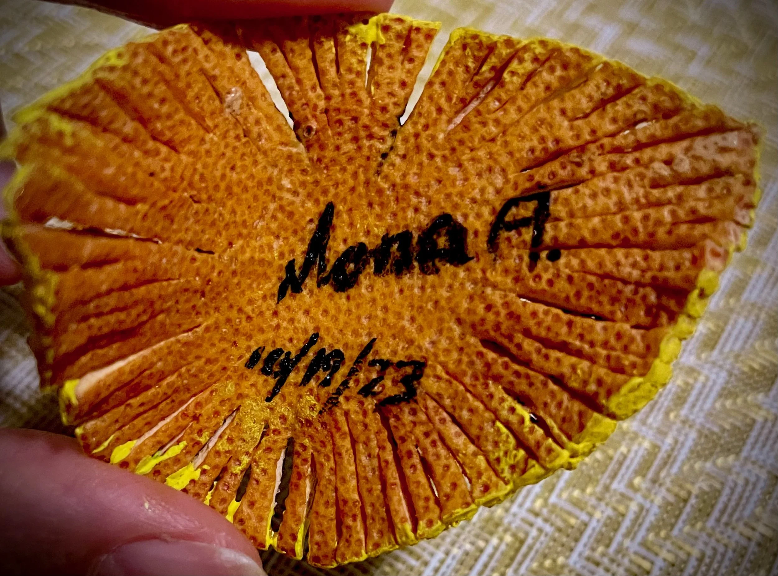 Close-up of a round citrus rind with artist's signature on top.
