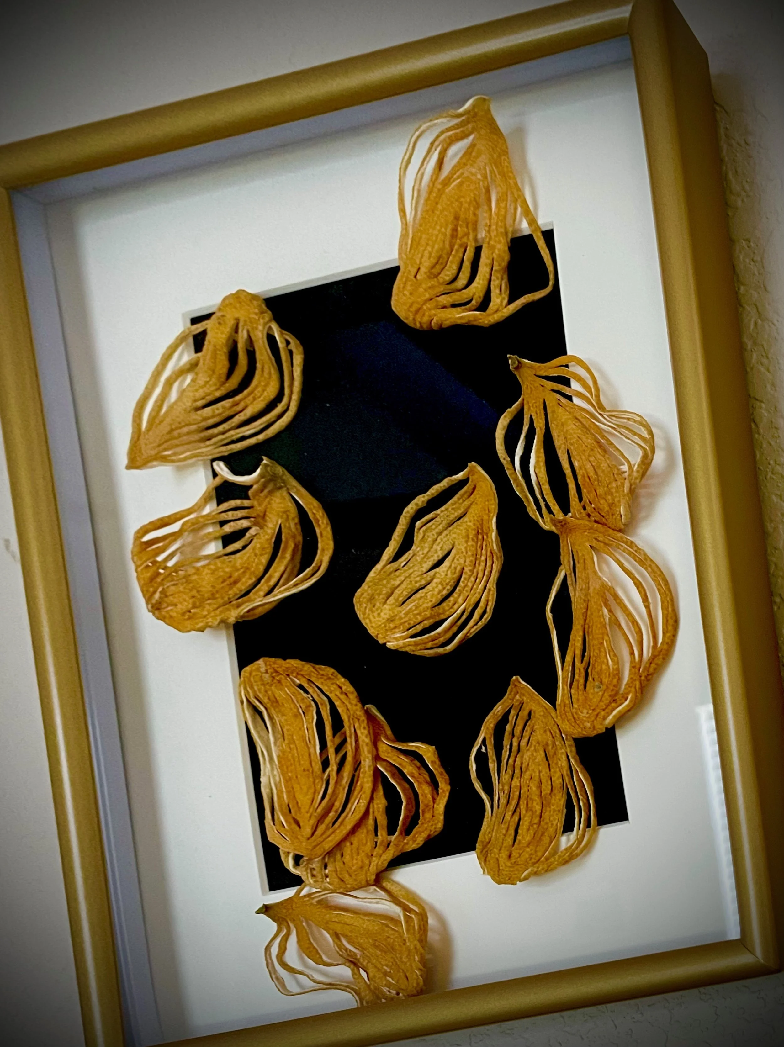 Orange dried citrus rinds arranged on black background in a wooden frame