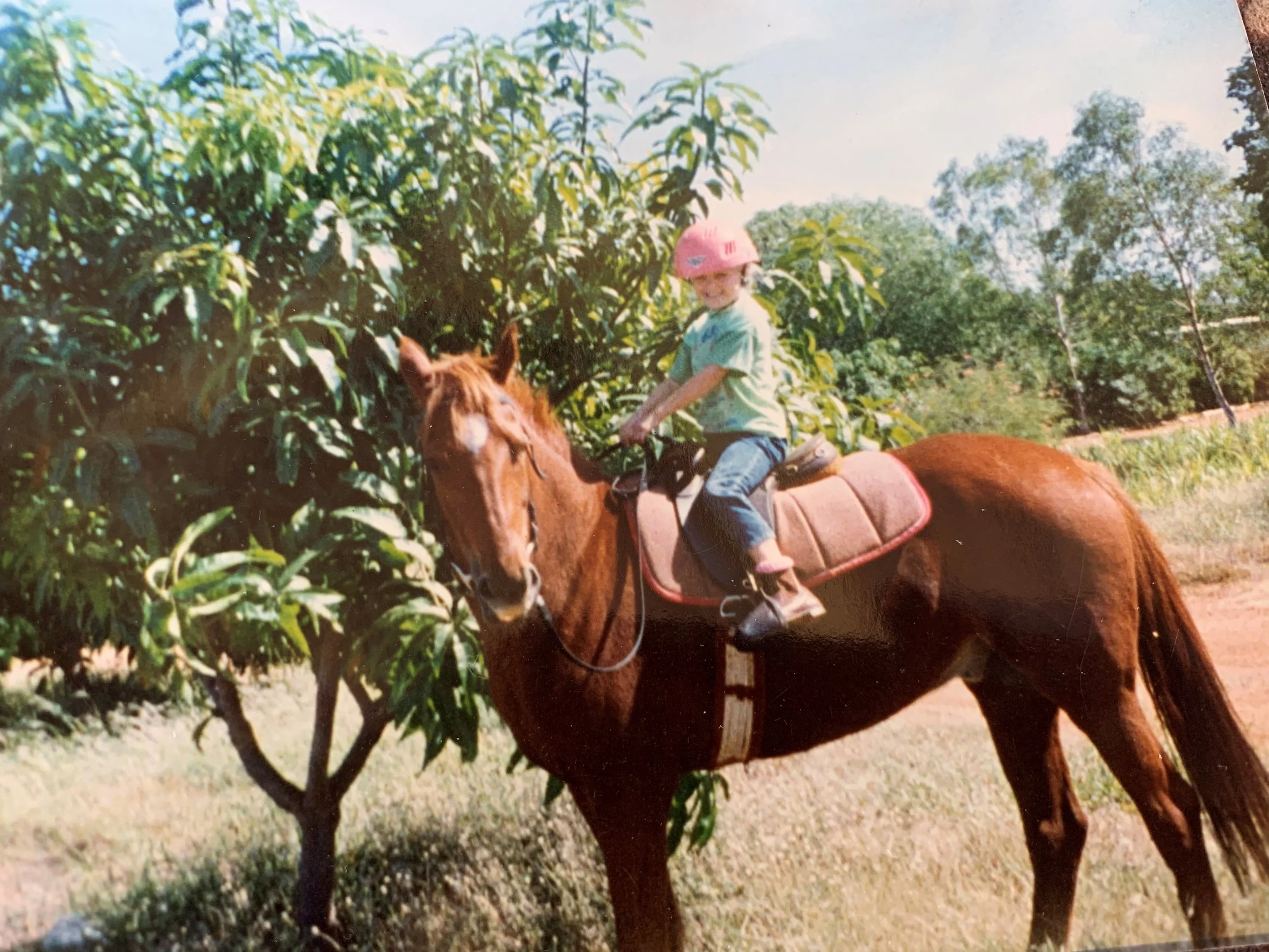 A young person riding a brown horse on a trail, wearing a pink helmet and light-colored shirt, surrounded by trees and greenery on a sunny day.