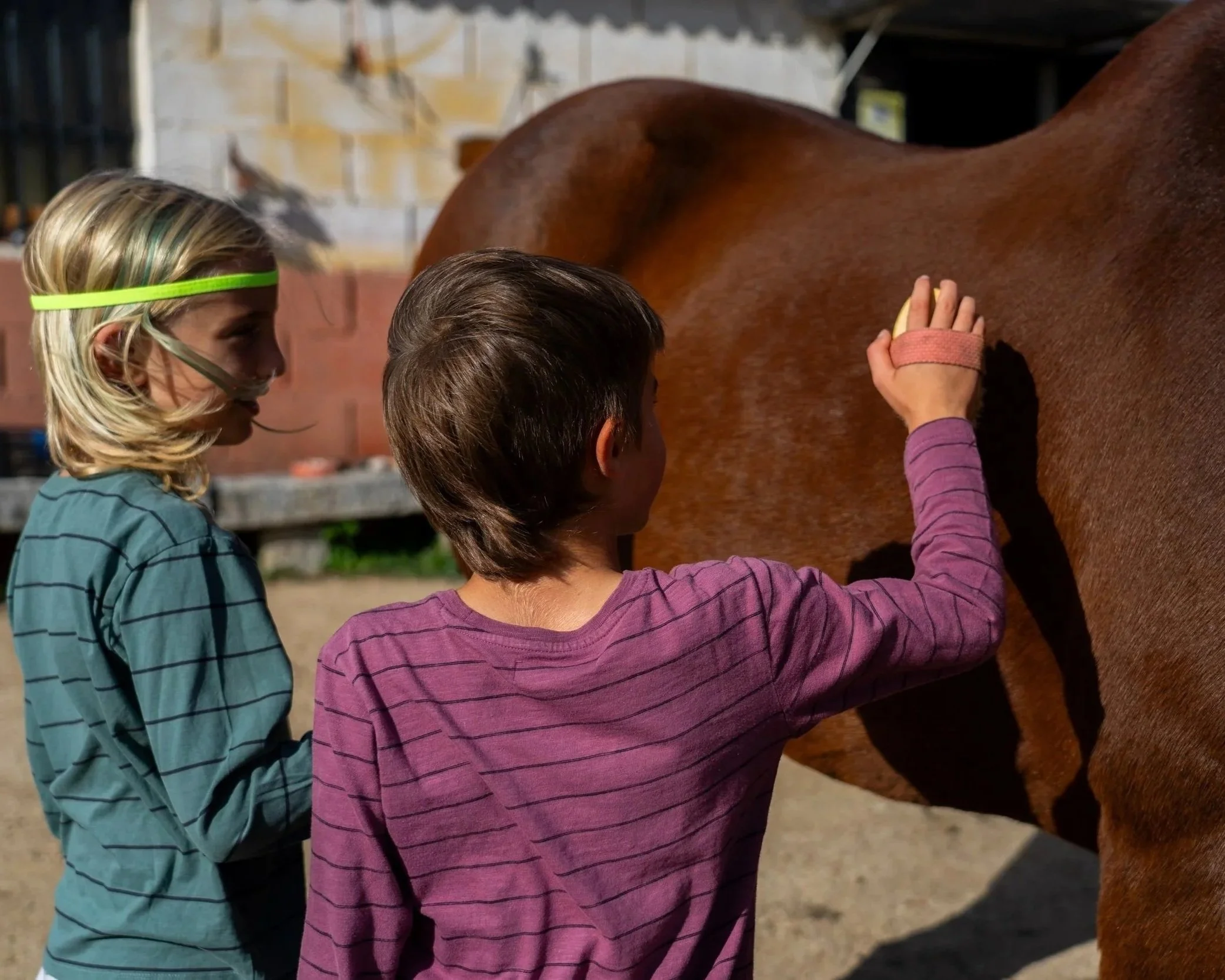 Two children, a girl with blond hair wearing a neon headband and a boy with dark hair, grooming a brown horse with a brush in an outdoor stable area.