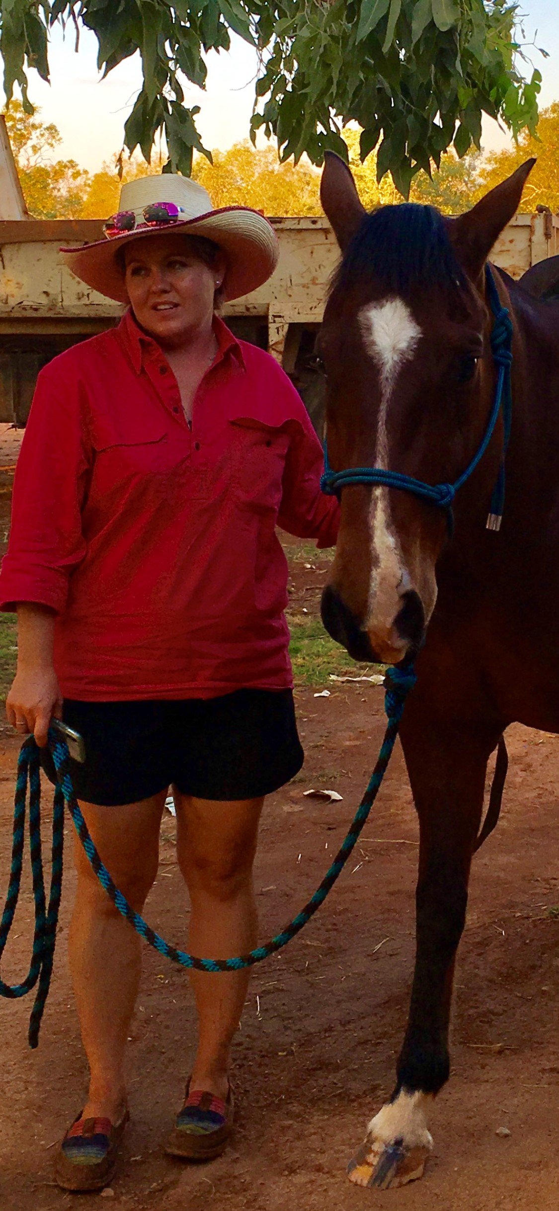 A woman wearing a large sunhat, red shirt, and black shorts standing next to a brown horse with a white star-shaped marking on its forehead, outdoors under a tree with a rustic fence in the background.