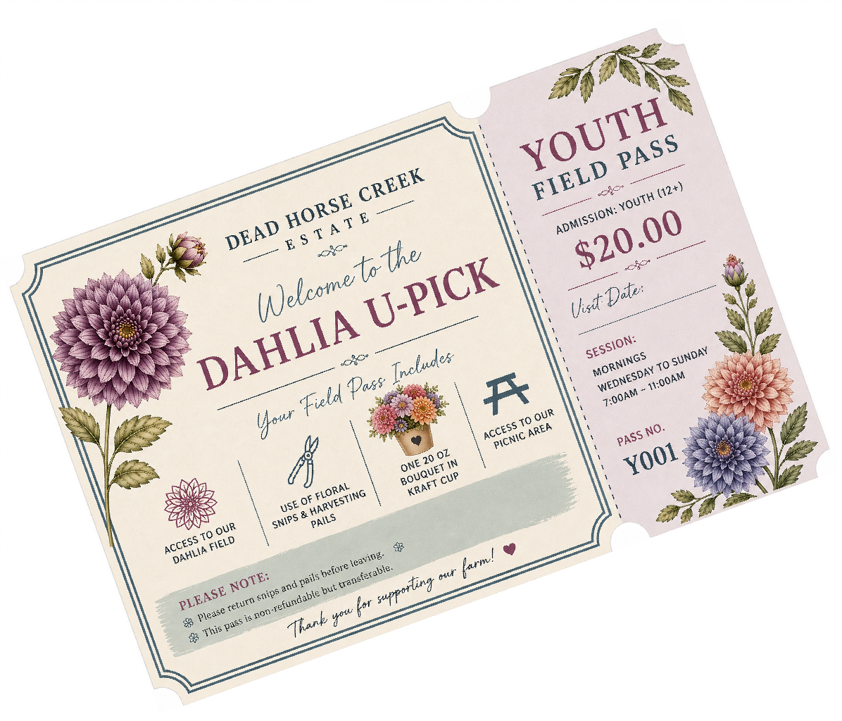 Youth Field Pass