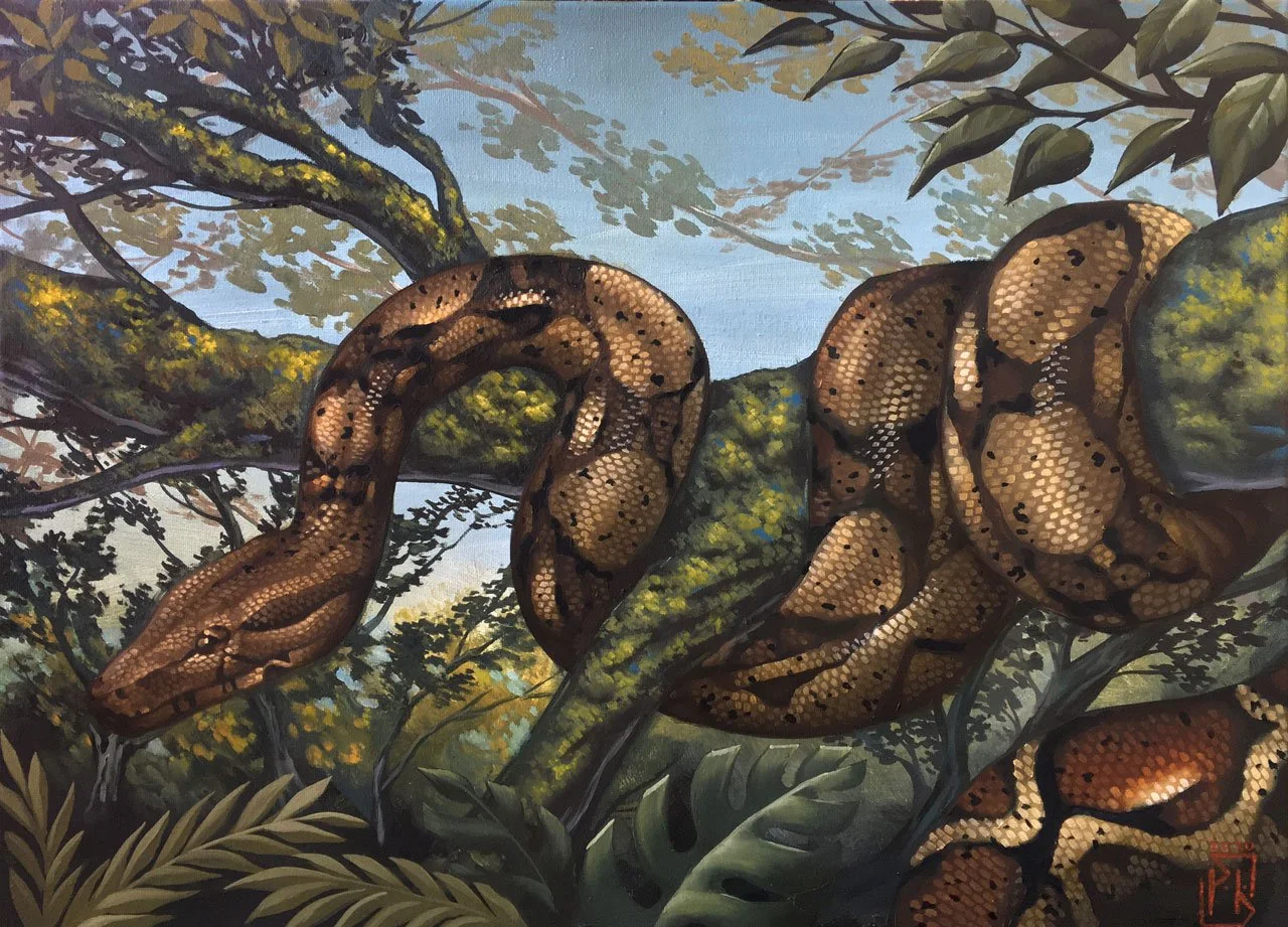 Python Commission  
Oil on Canvas 
2020