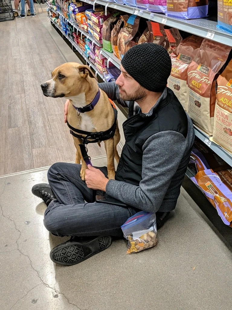 Mitch sitting on a store floor beside a tan dog wearing a harness.