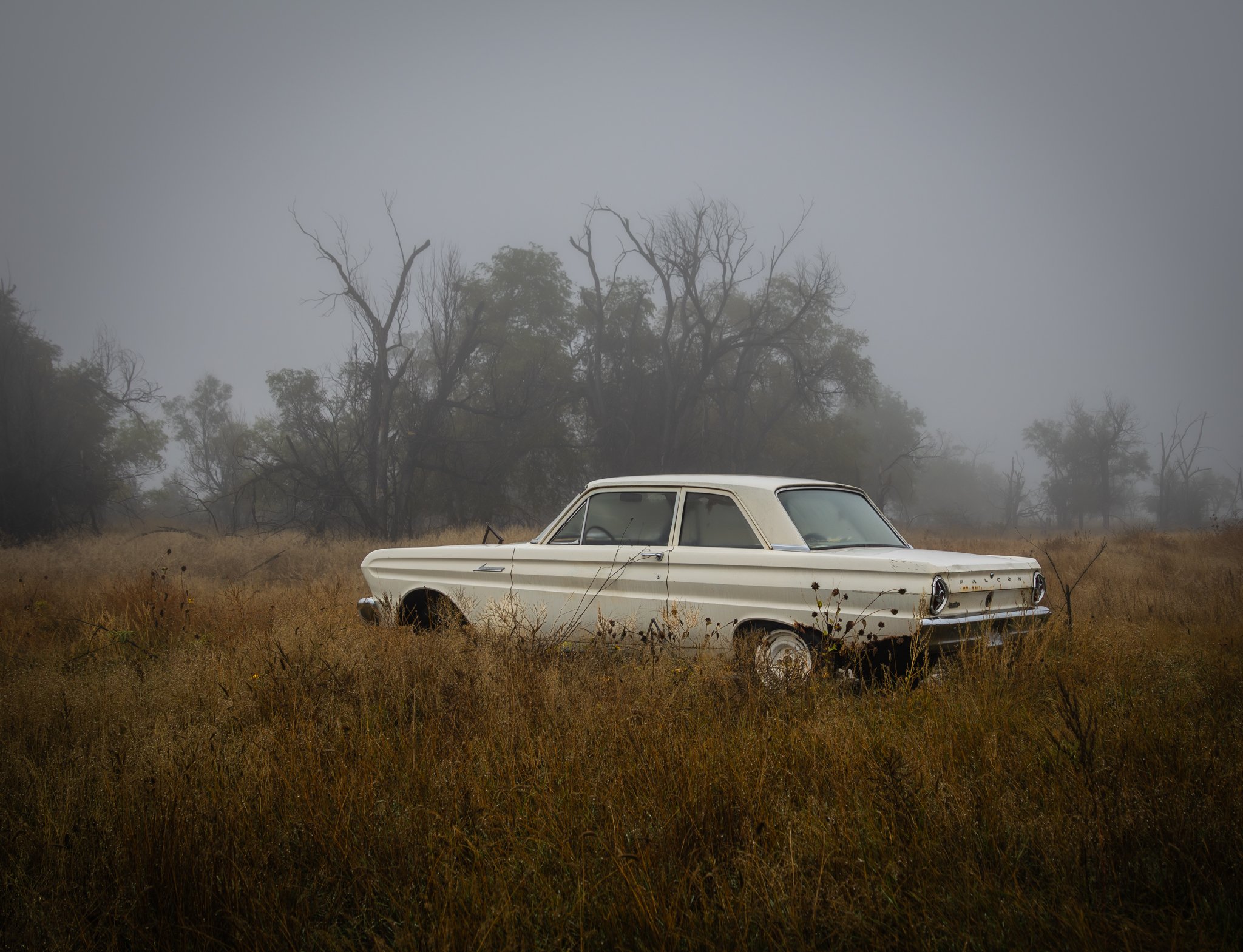 Car 1.jpg