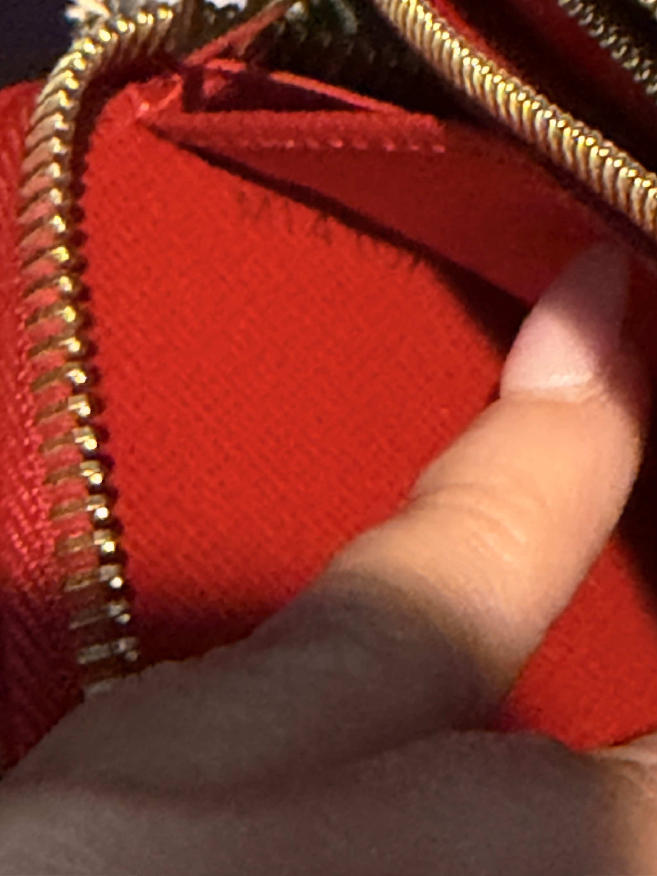IMG_5701.jpeg