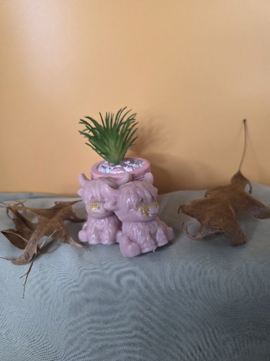 20260924_125248.jpg