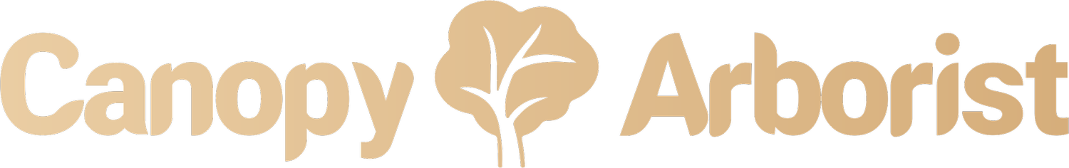 Canopy Arborist 