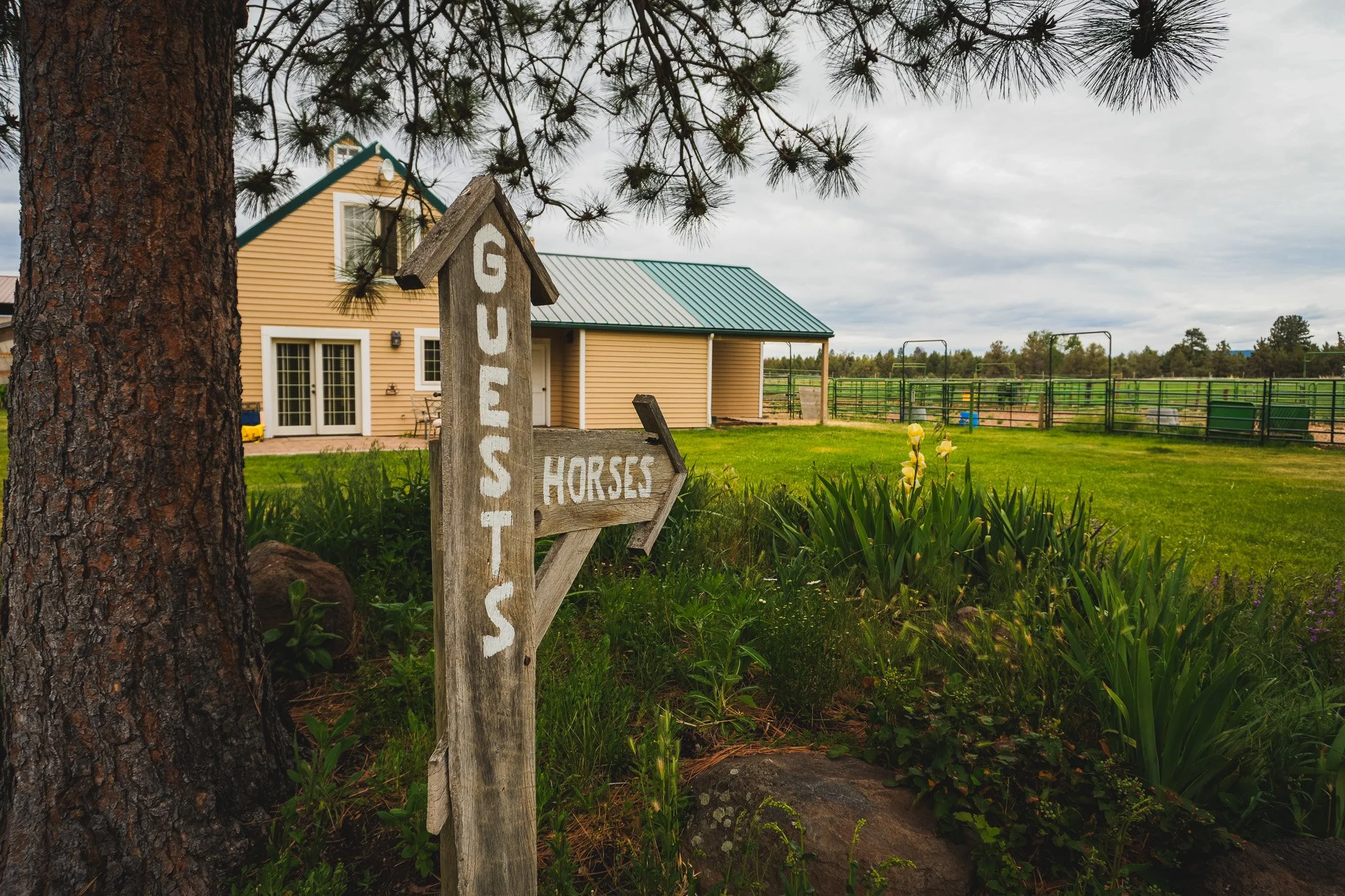 A wooden sign with white letters directs to a pasture for horses, located next to a large tree in front of a beige house with a green metal roof. The scene is set in a grassy area with a fenced horse field in the background under a cloudy sky.