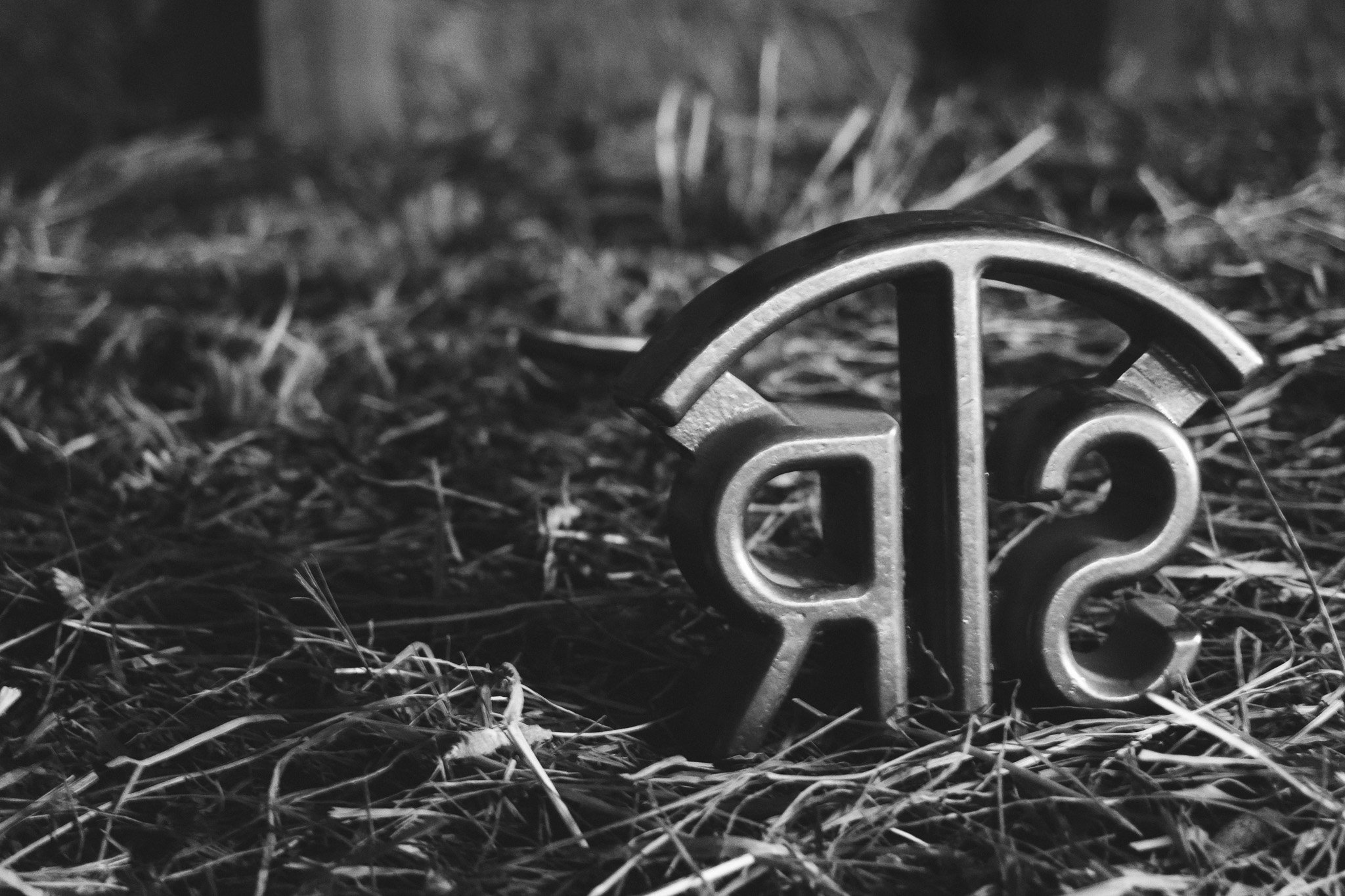 A close-up black and white photo of a small metallic brand or gear partially embedded in grass and dirt.