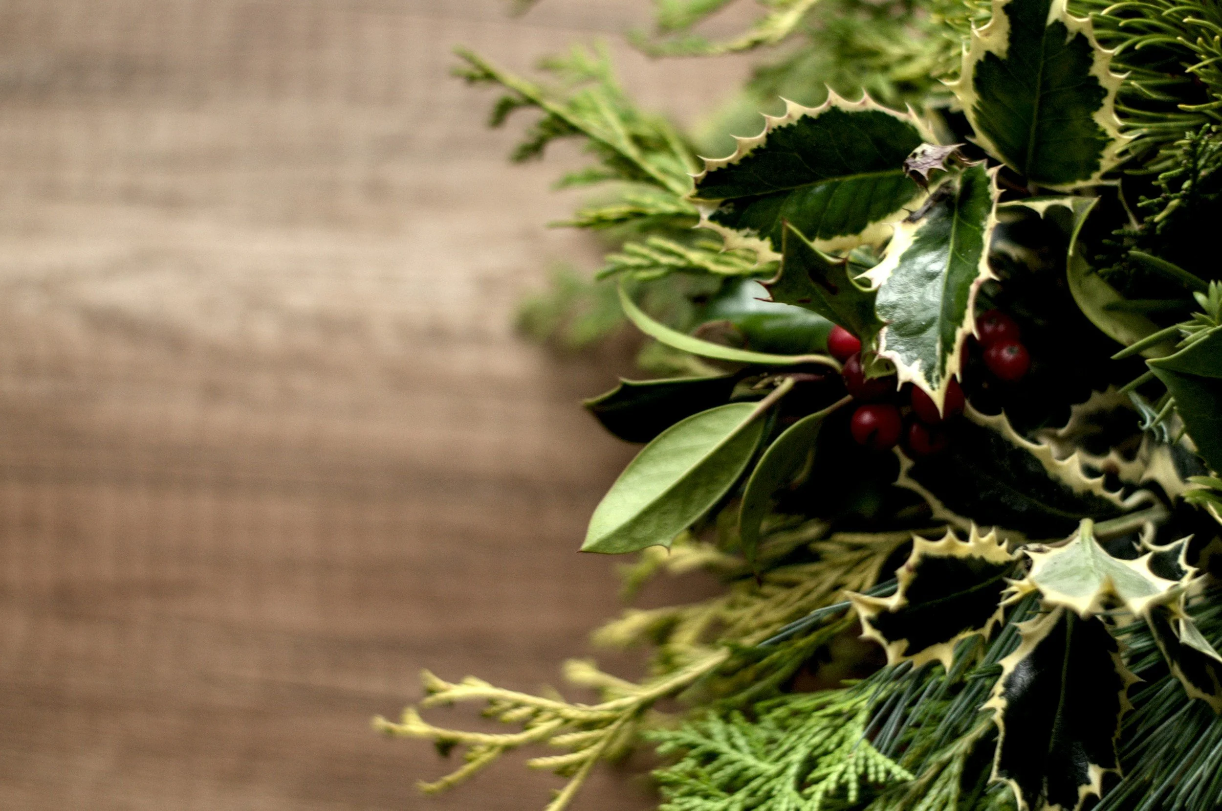 Cozy Stems: Making the Most of Winter Florals in Portland