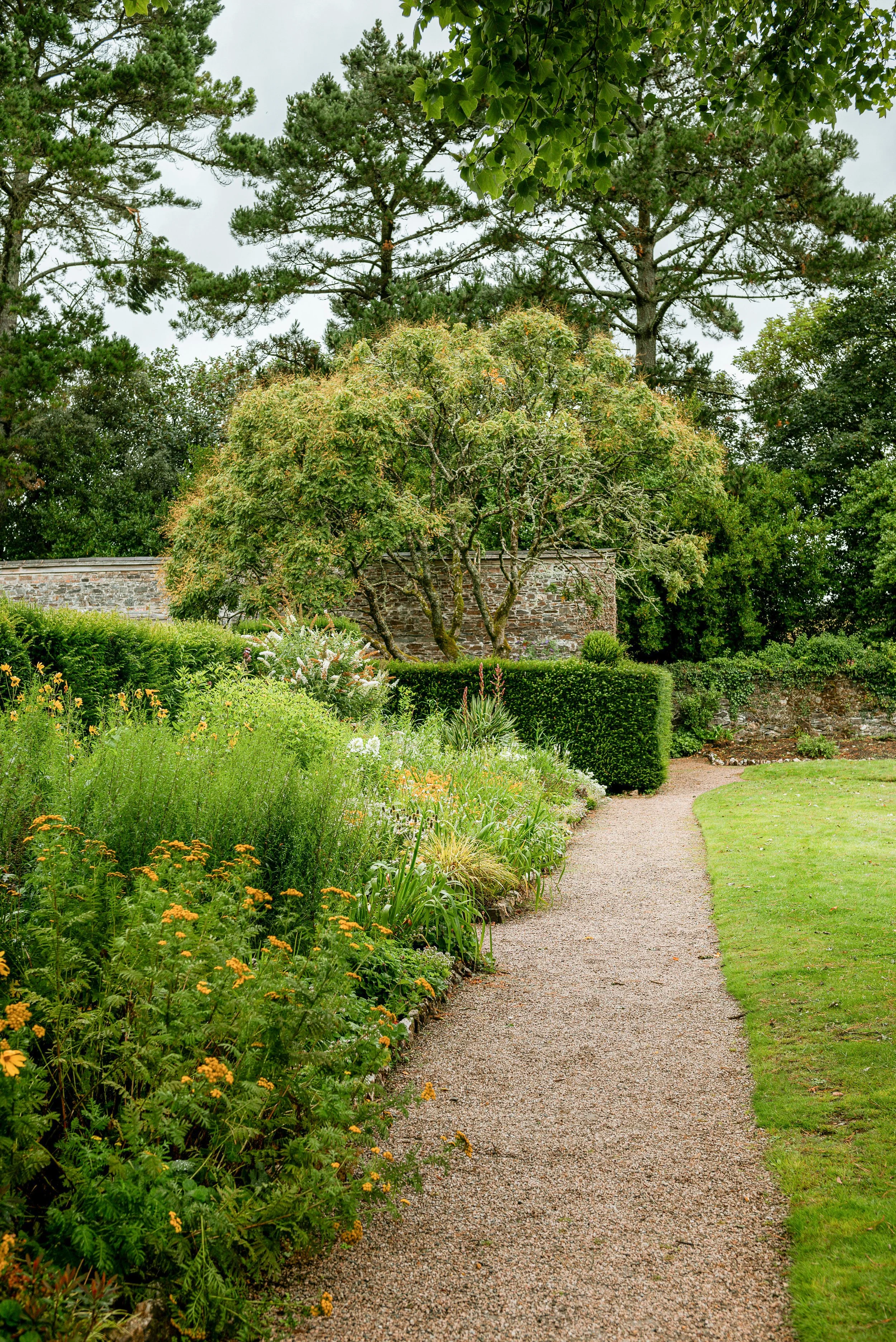 A garden scene with a gravel pathway, lush green plants, colorful flowers, a stone wall, and tall trees in the background.