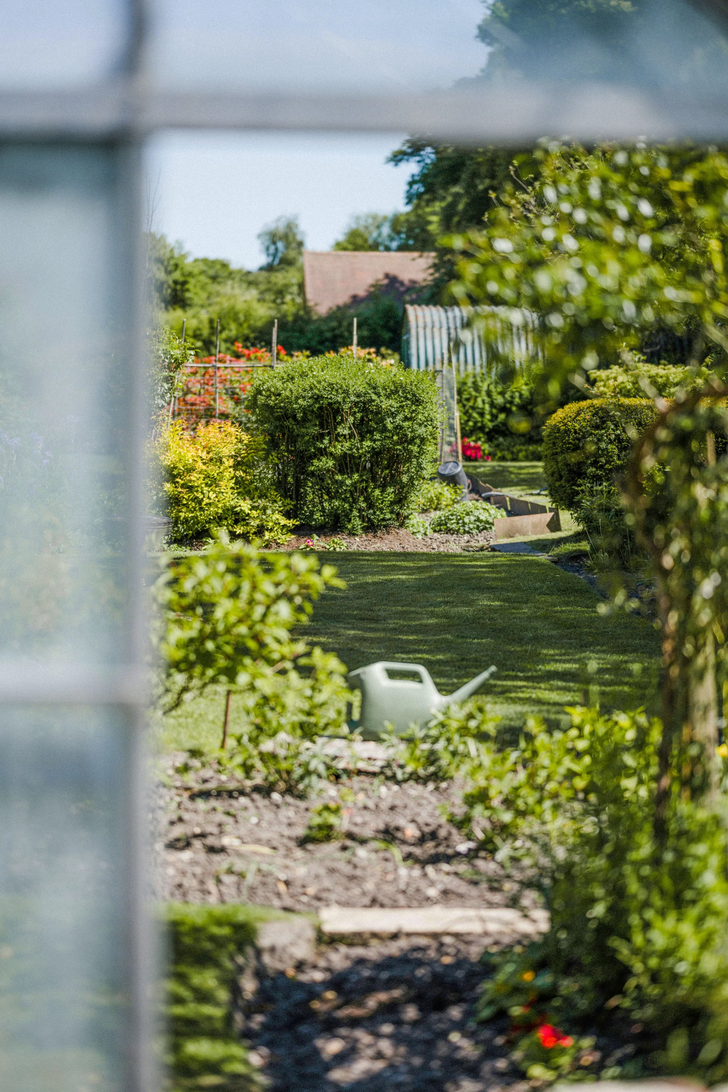 View of a well-maintained garden with various bushes, plants, and flowers, seen through a partially open window or structure, with a watering can on the ground.