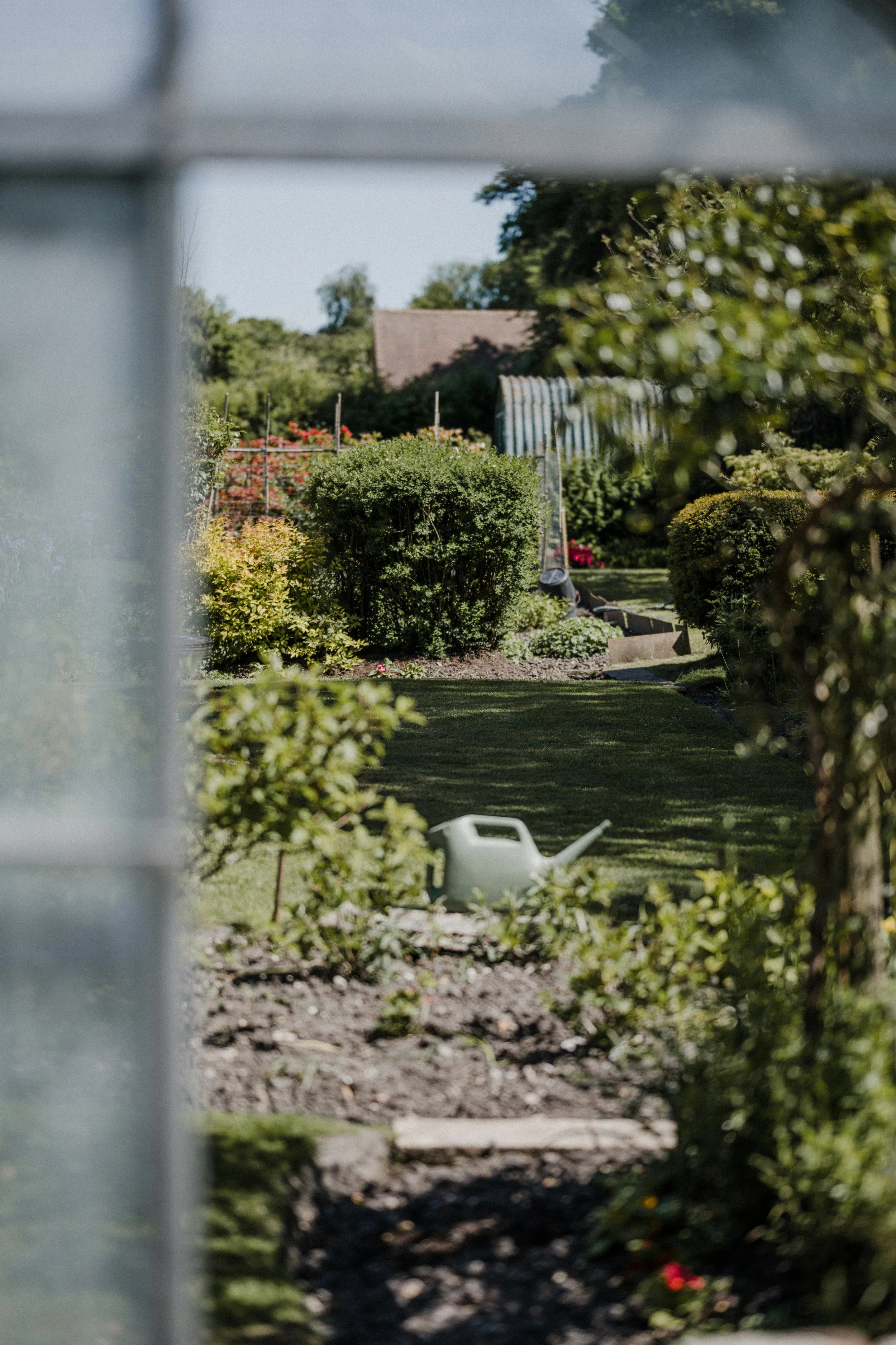 View of a well-maintained garden through a partially open gate or window, featuring various shrubs, flowers, and a watering can on the ground.