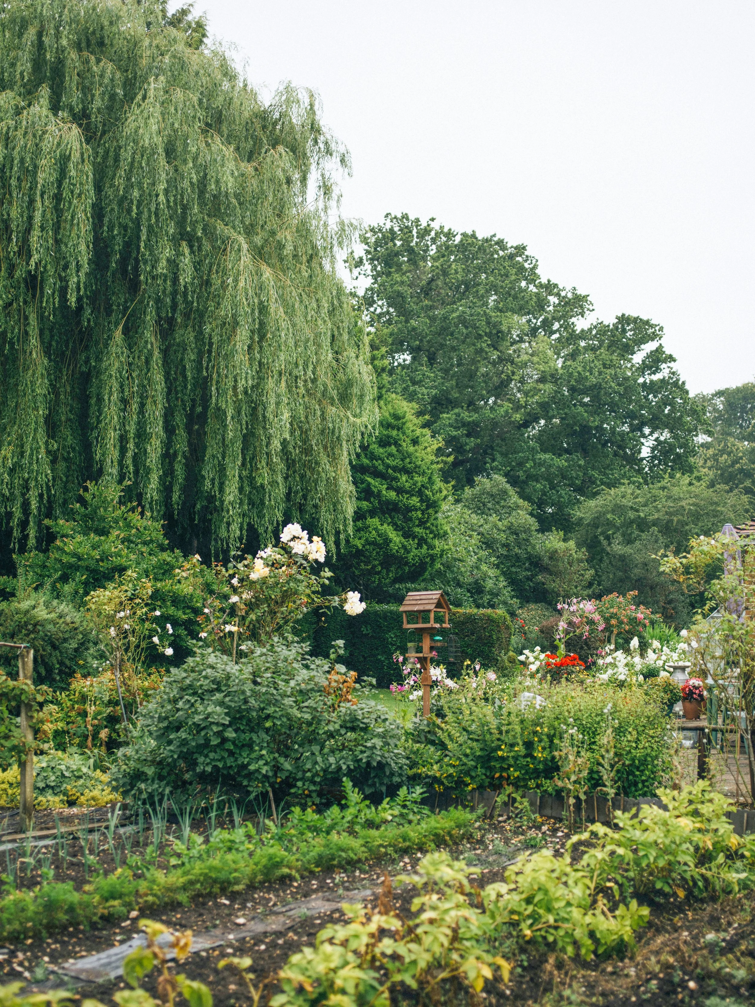 A lush garden scene with trees, flowering plants, and vegetable patches, including a willow tree, some flowering shrubs, and a birdhouse, under a cloudy sky.