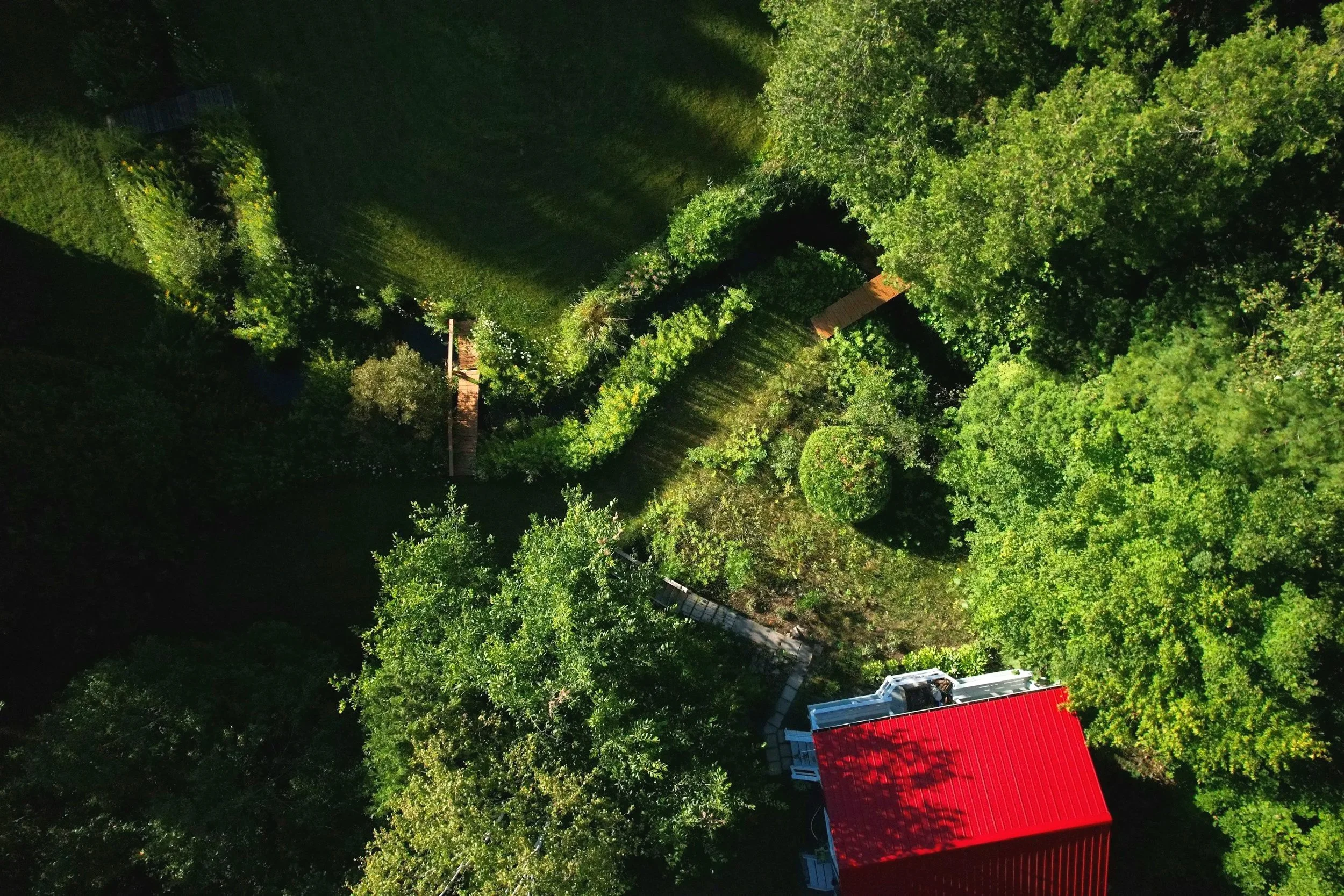 Aerial view of dense green trees, partial view of a building with a red roof, and construction equipment.