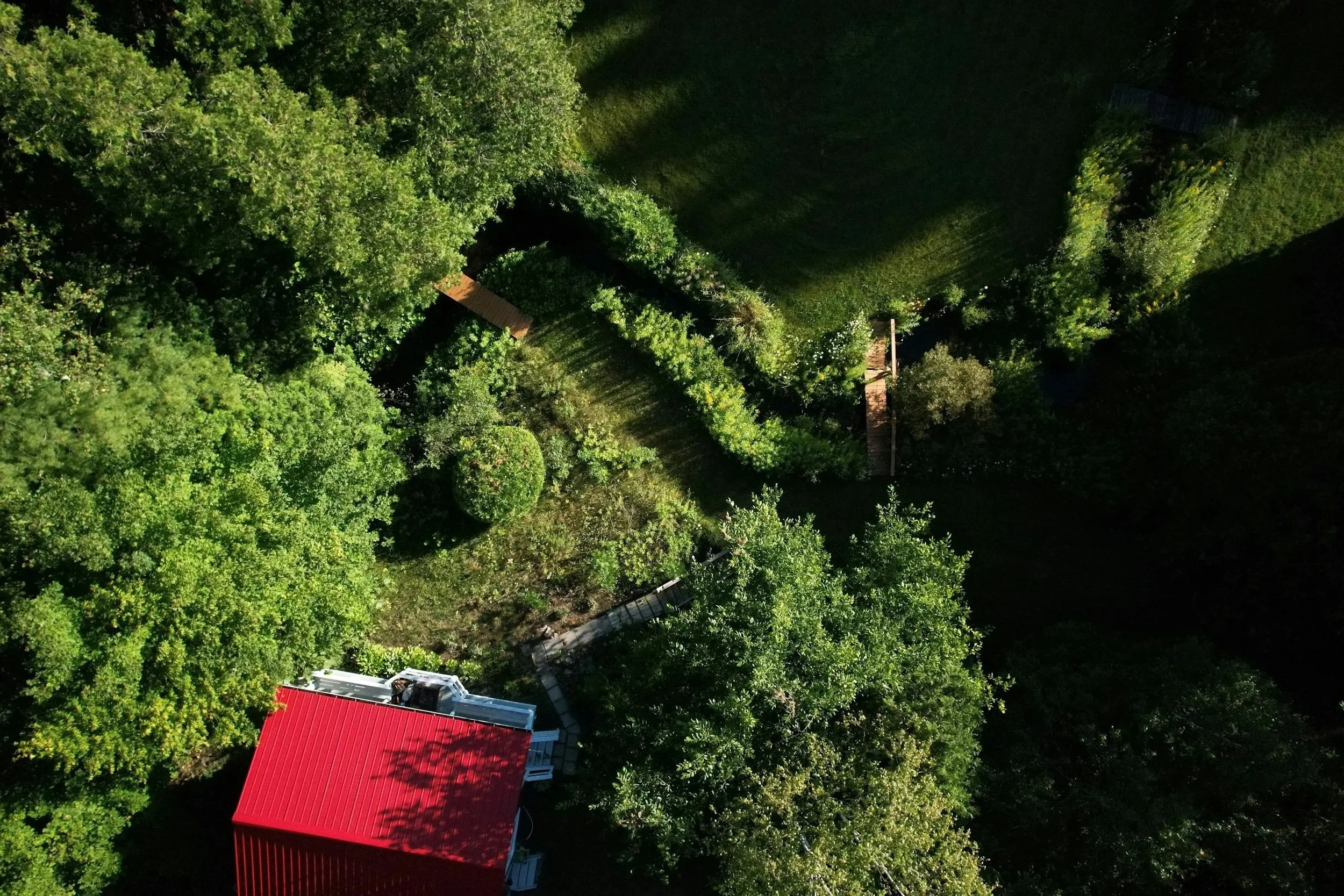 Aerial view of a large green backyard with dense trees and bushes, a small wooden shed, and a red-roofed building at the bottom.