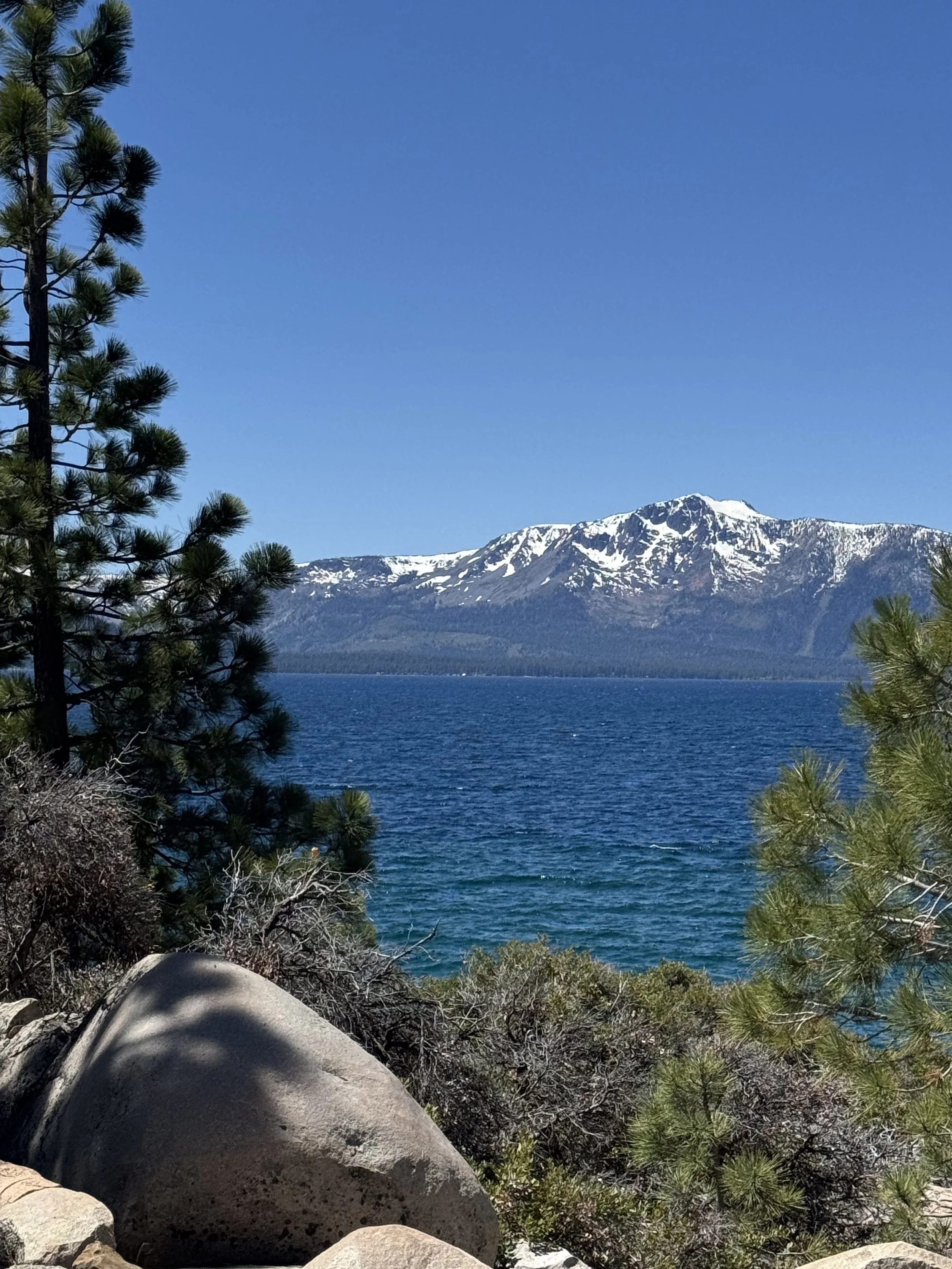 IMG_3064.jpeg