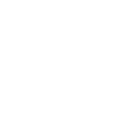 Worldsmart single store retail technology solution