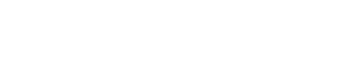 Worldsmart – your retail intelligence partner