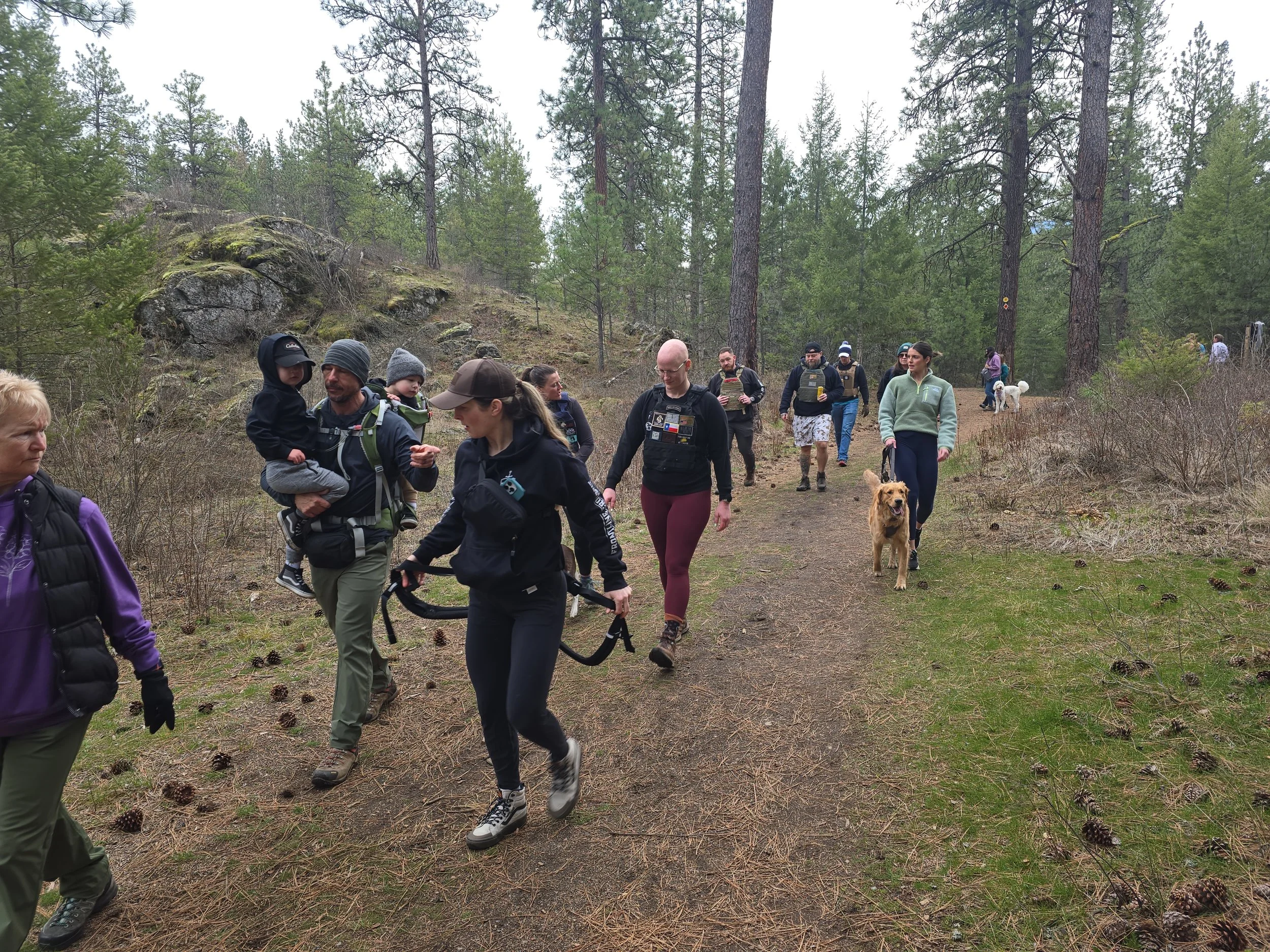 Group of people hiking on a forest trail with dogs and trees surrounding them.
