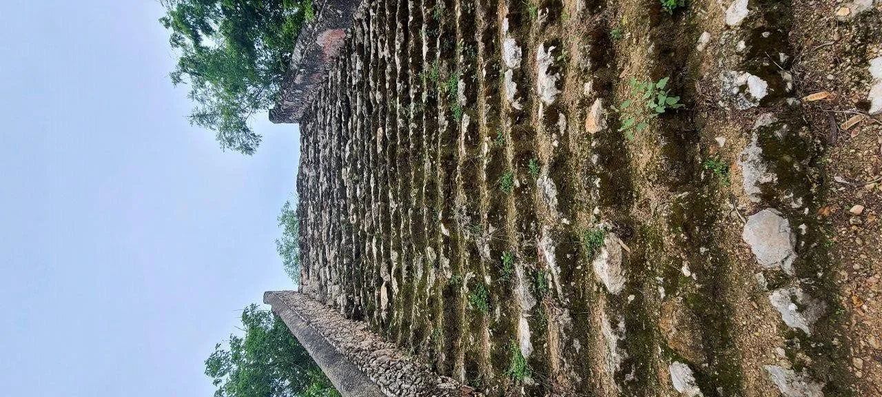 An ancient stone pyramid covered with moss and small plants, located outdoors with trees in the background.