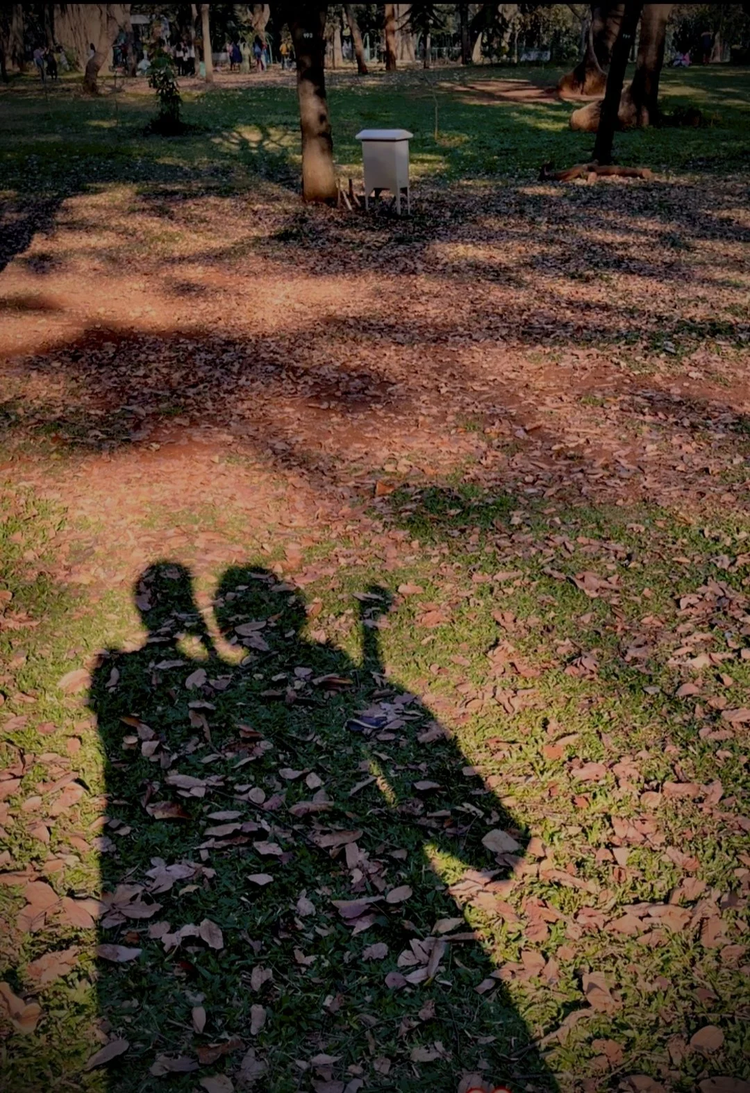 Two Motes of Stardust