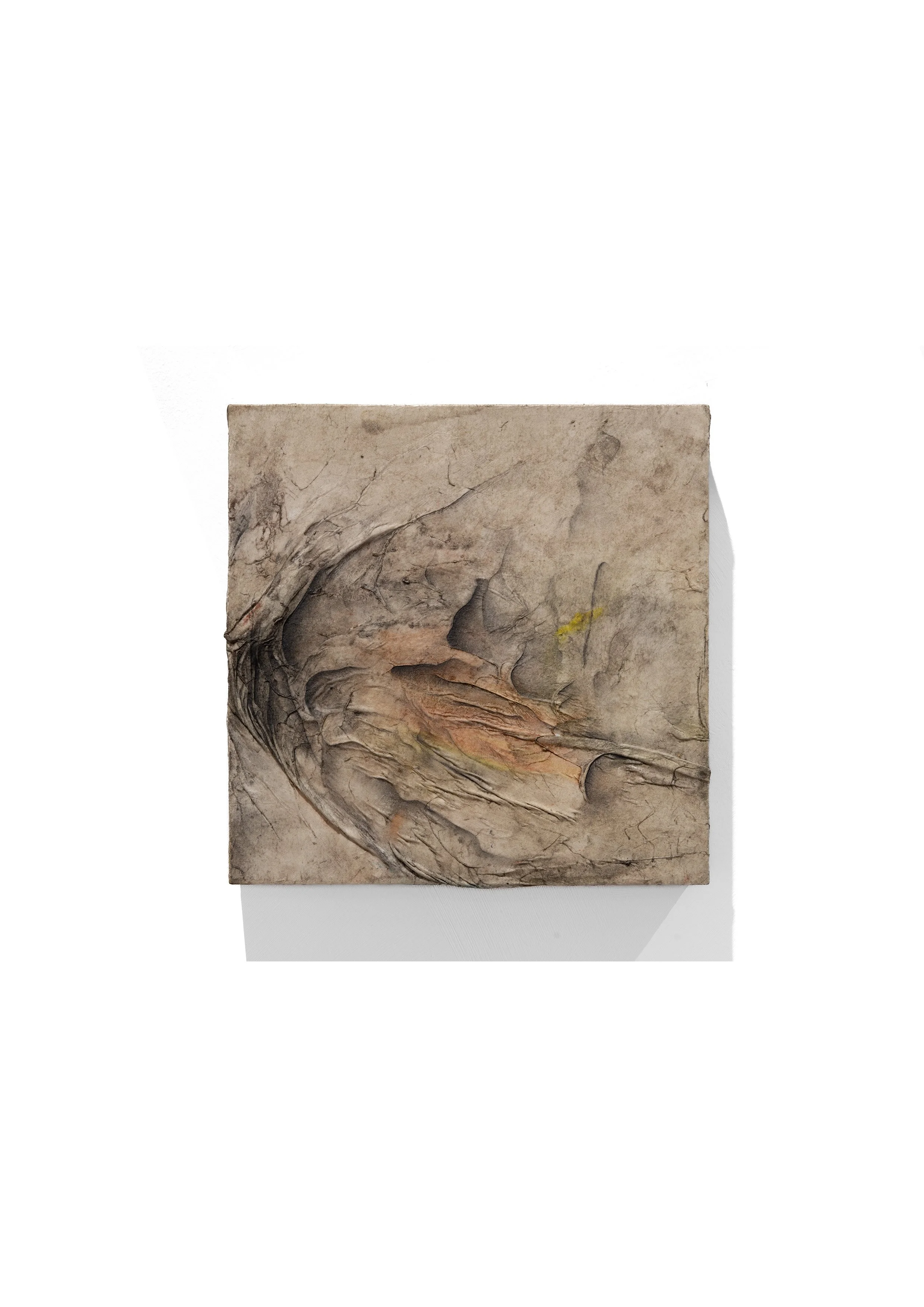 Kay GaseiBTC Basking Wrong 2026 Oil on reverse primed canvas 40 x 50 cm